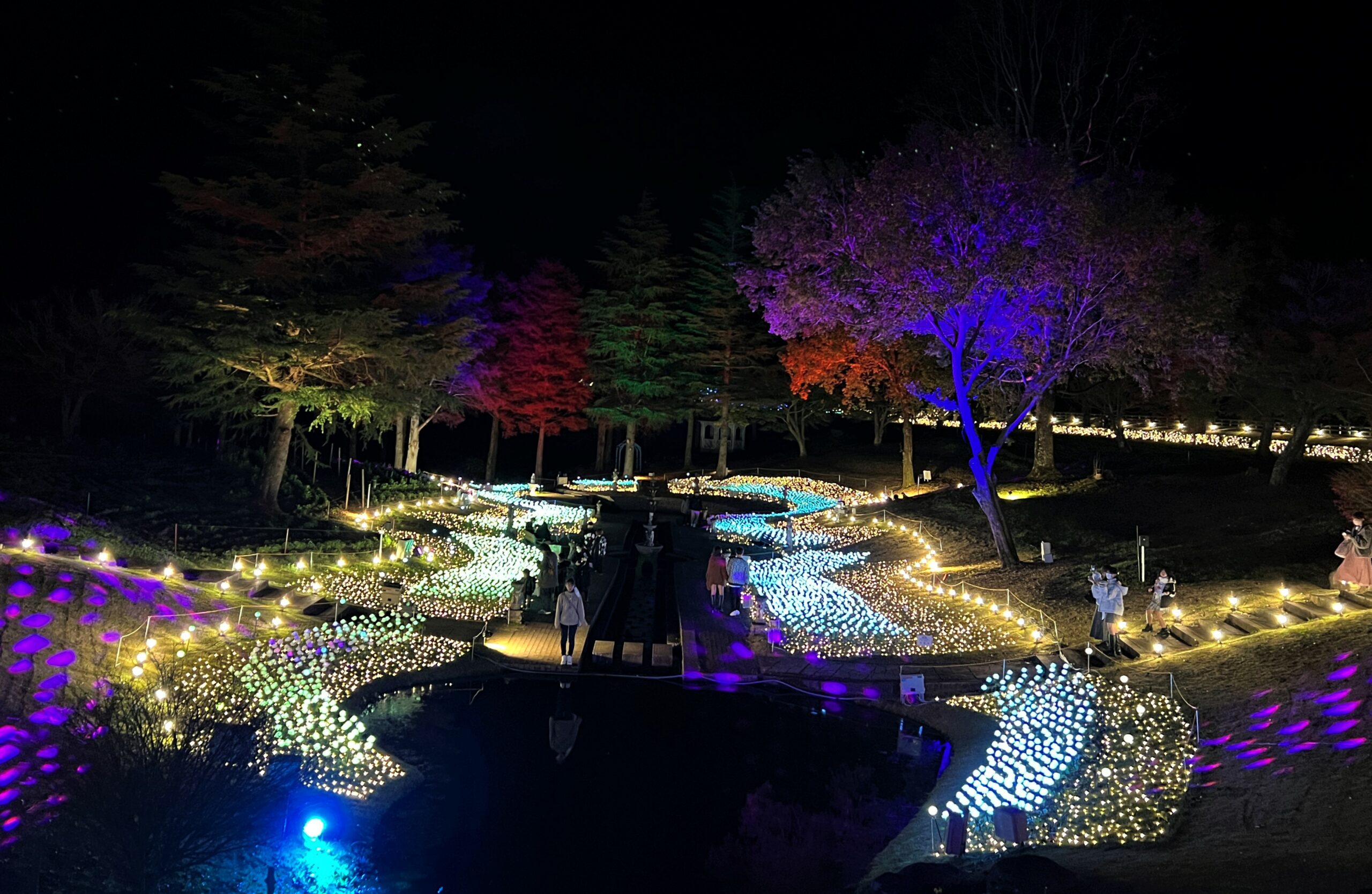 修善寺虹の郷サンクスイルミ