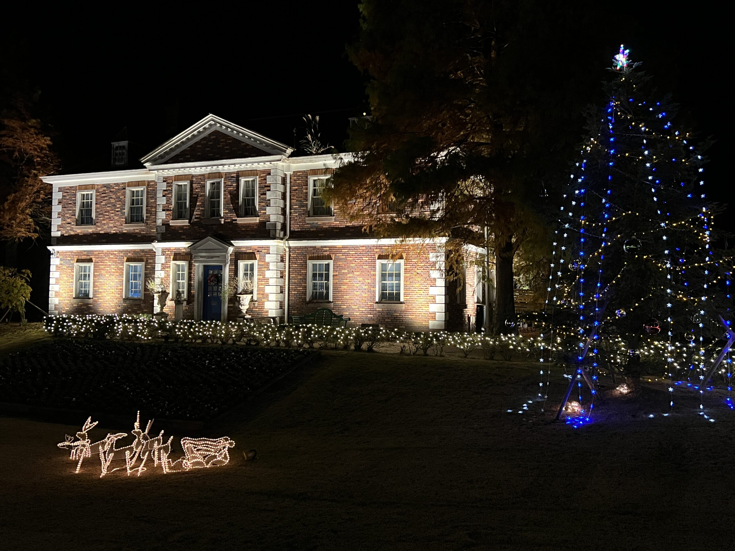 修善寺虹の郷サンクスイルミ