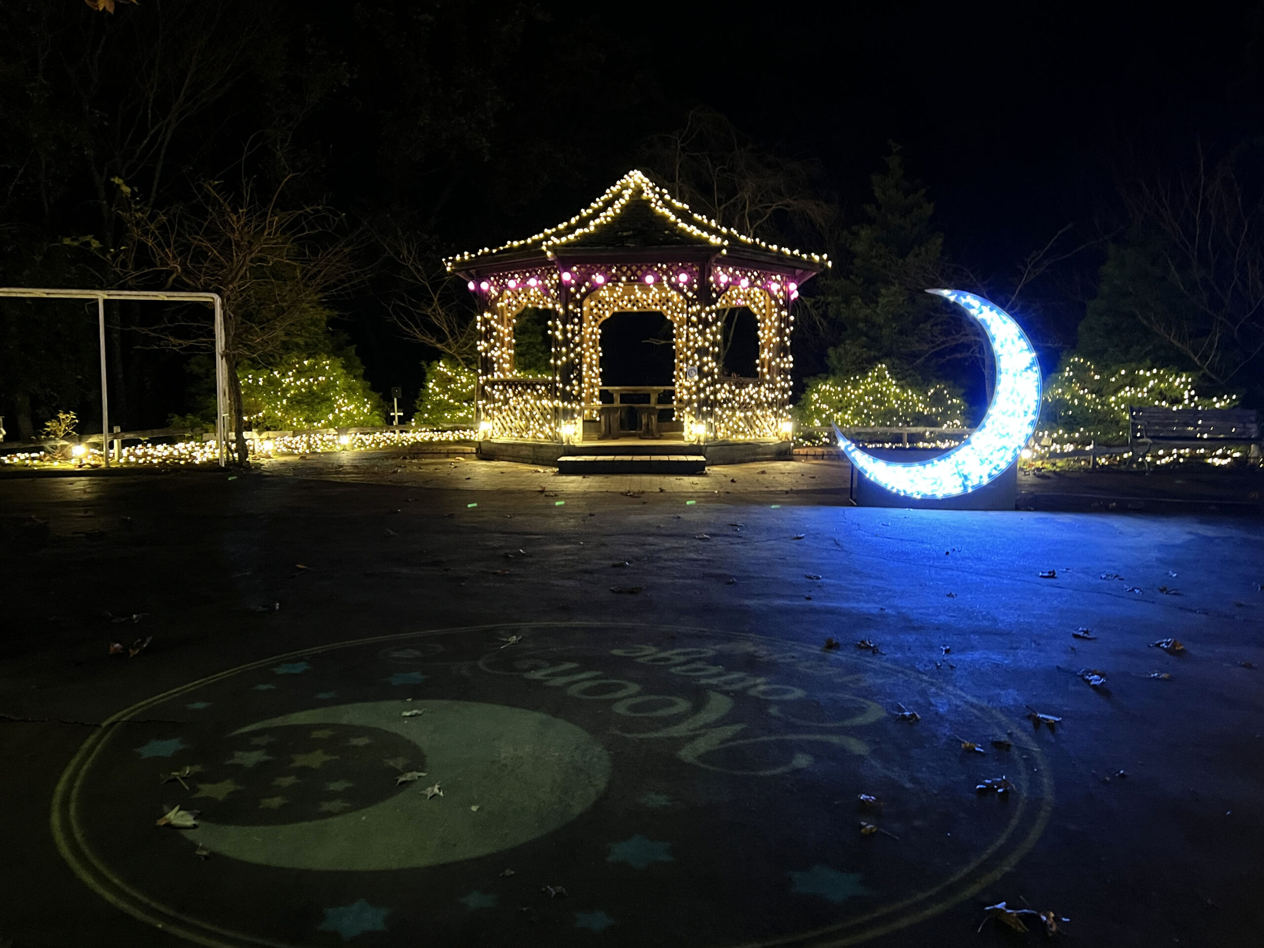 修善寺虹の郷サンクスイルミ