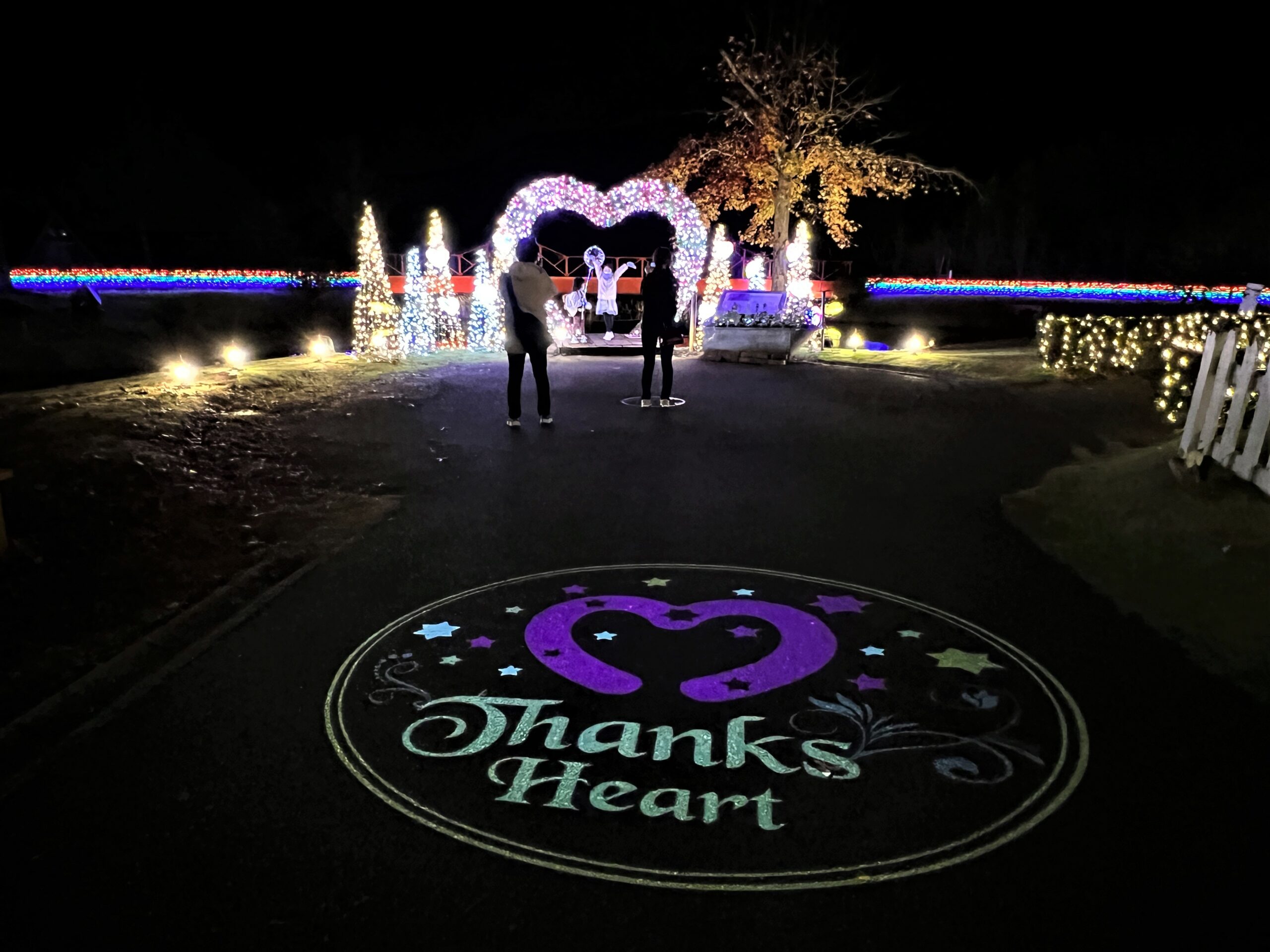 その中には、カラフルな海月がいっぱい！　ガラスに映ってさらに数を増しています。