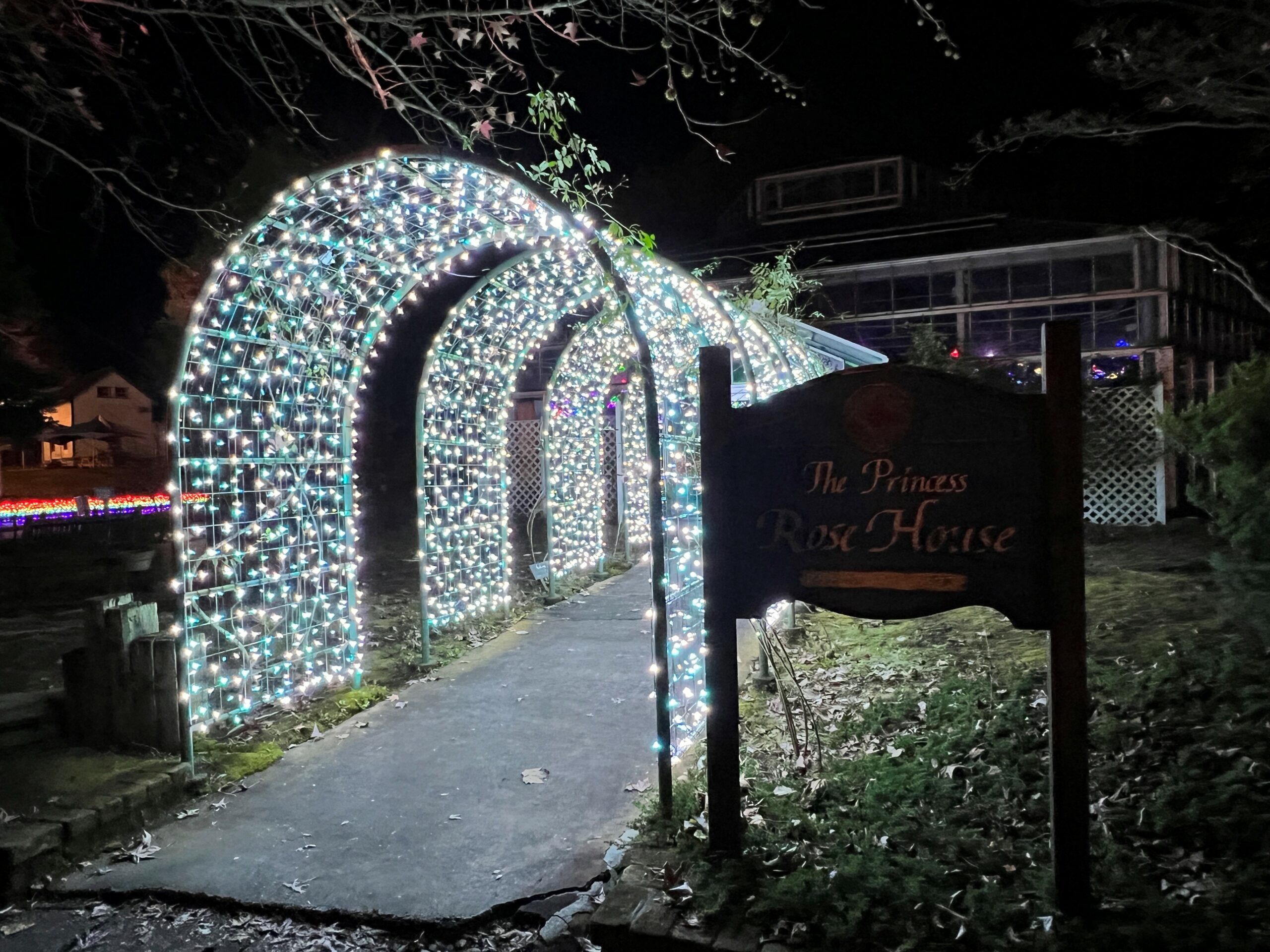 修善寺虹の郷サンクスイルミ