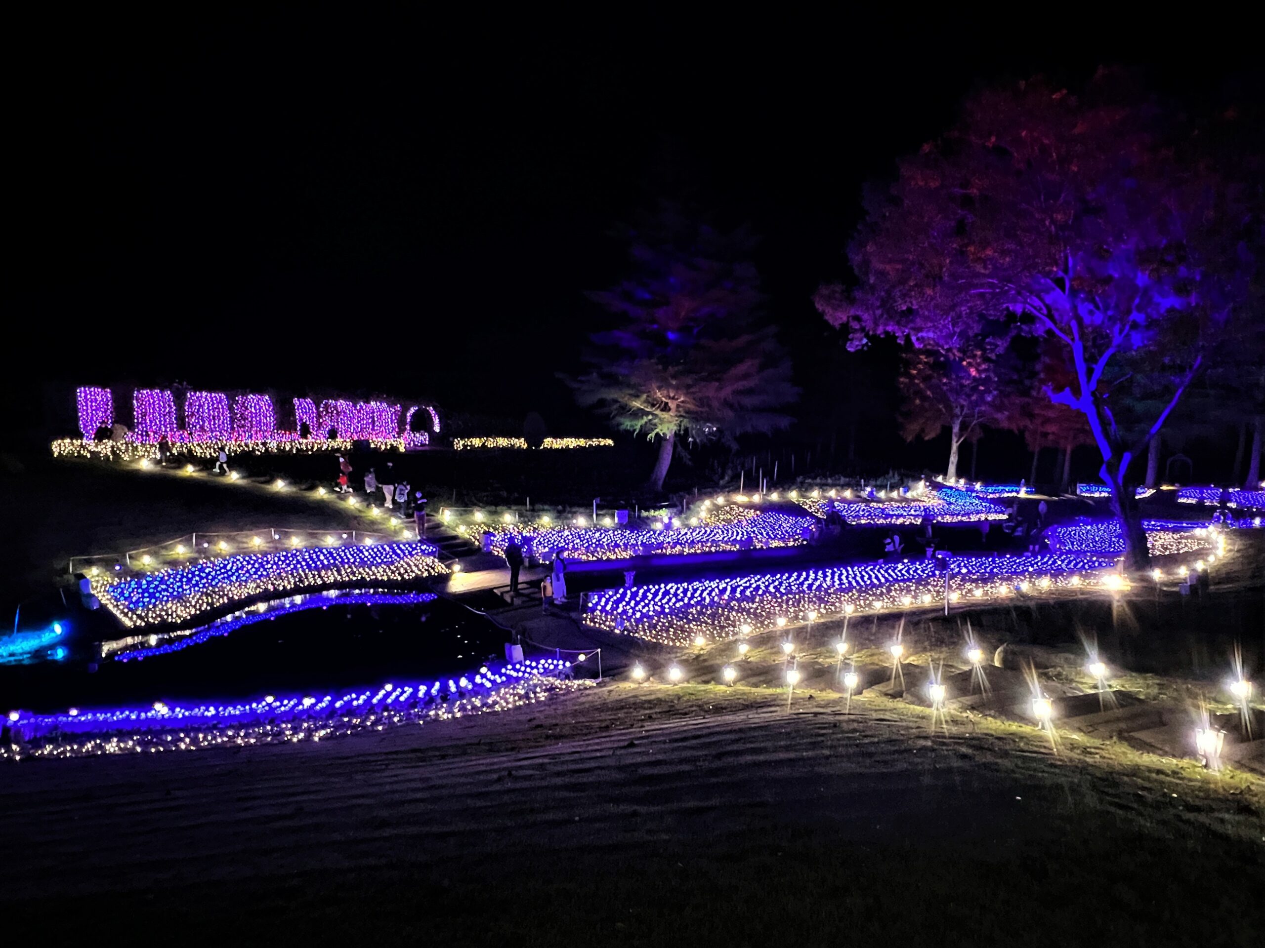 修善寺虹の郷サンクスイルミ