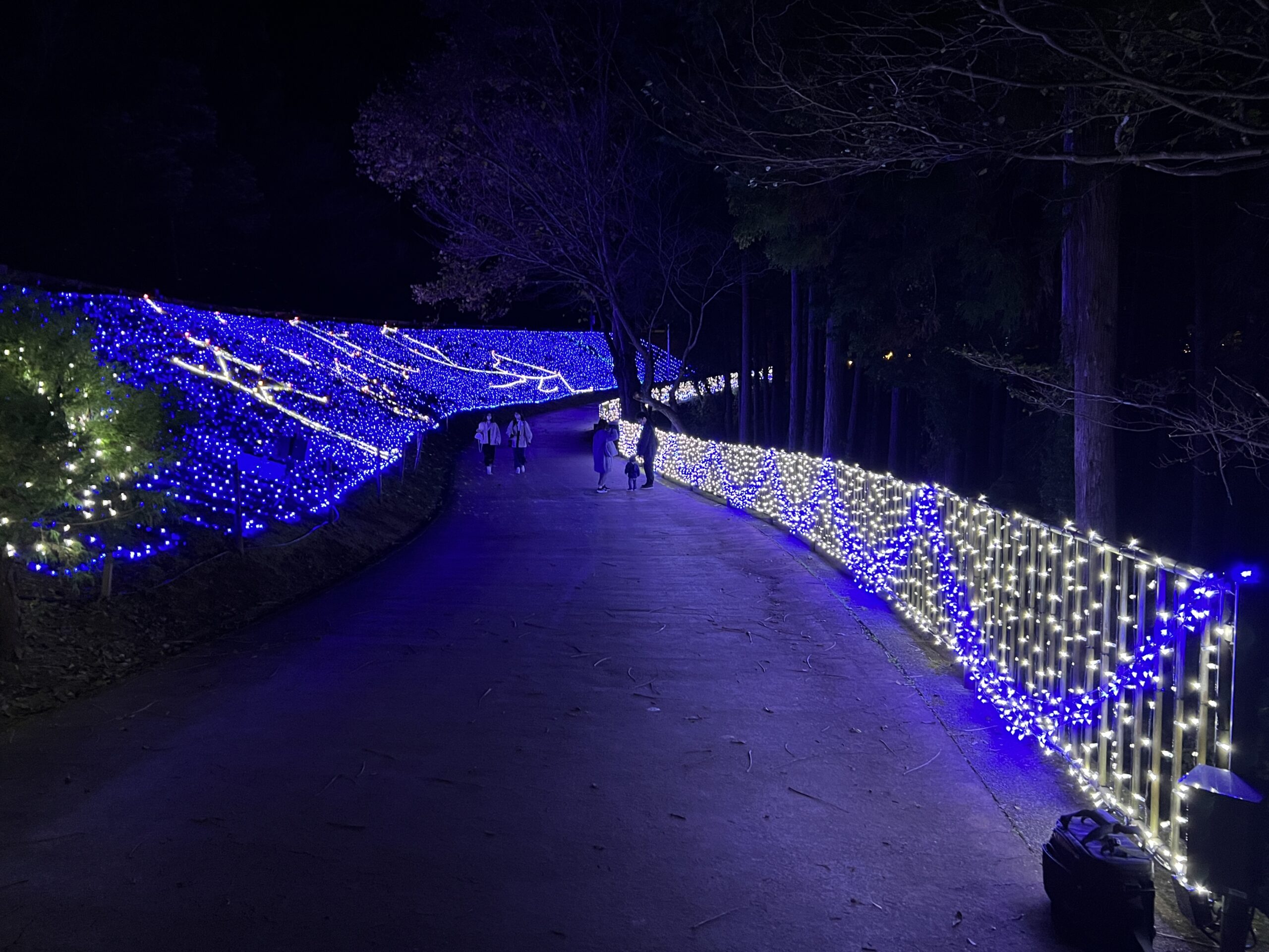 修善寺虹の郷サンクスイルミ