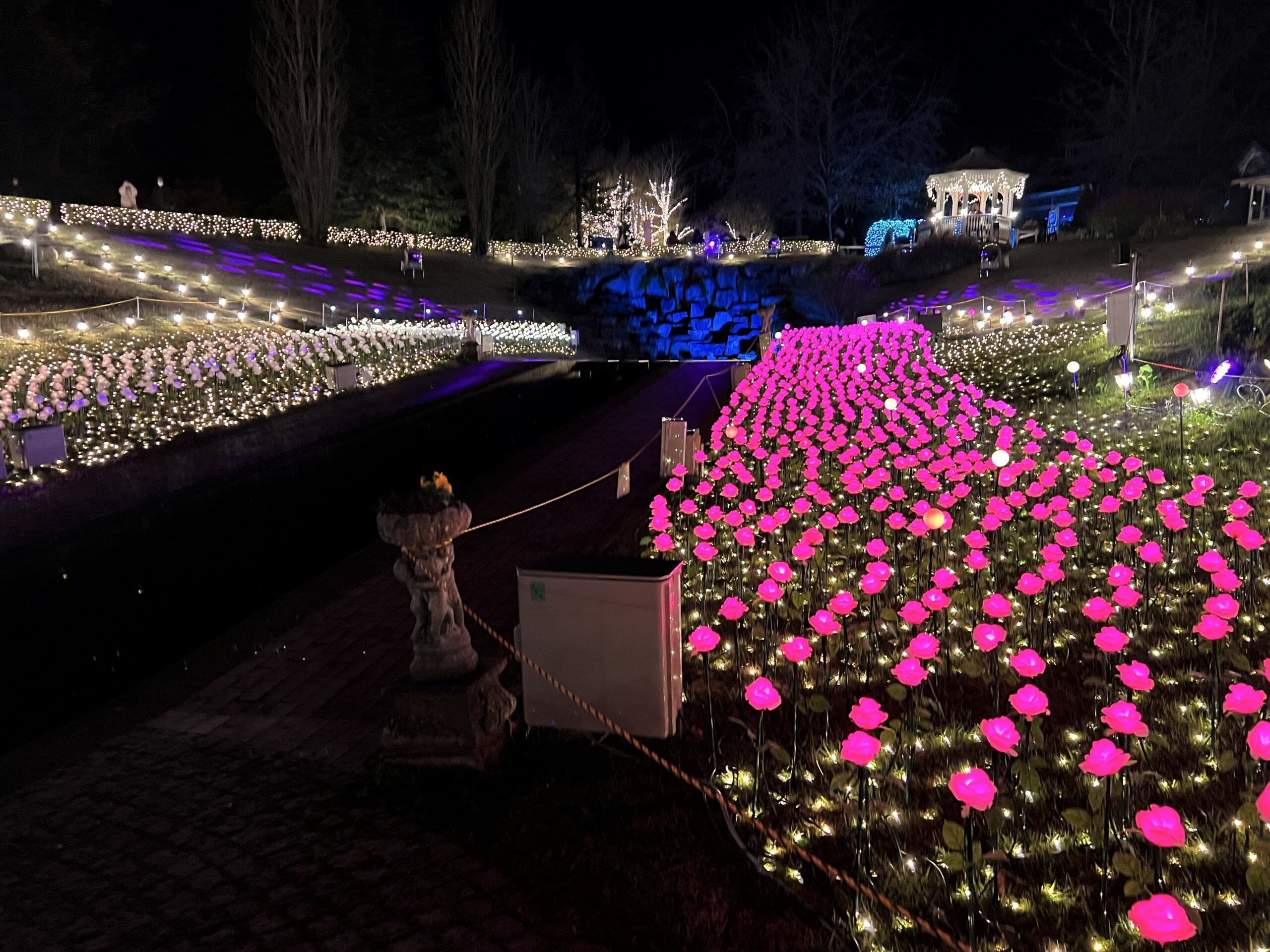 修善寺虹の郷サンクスイルミ