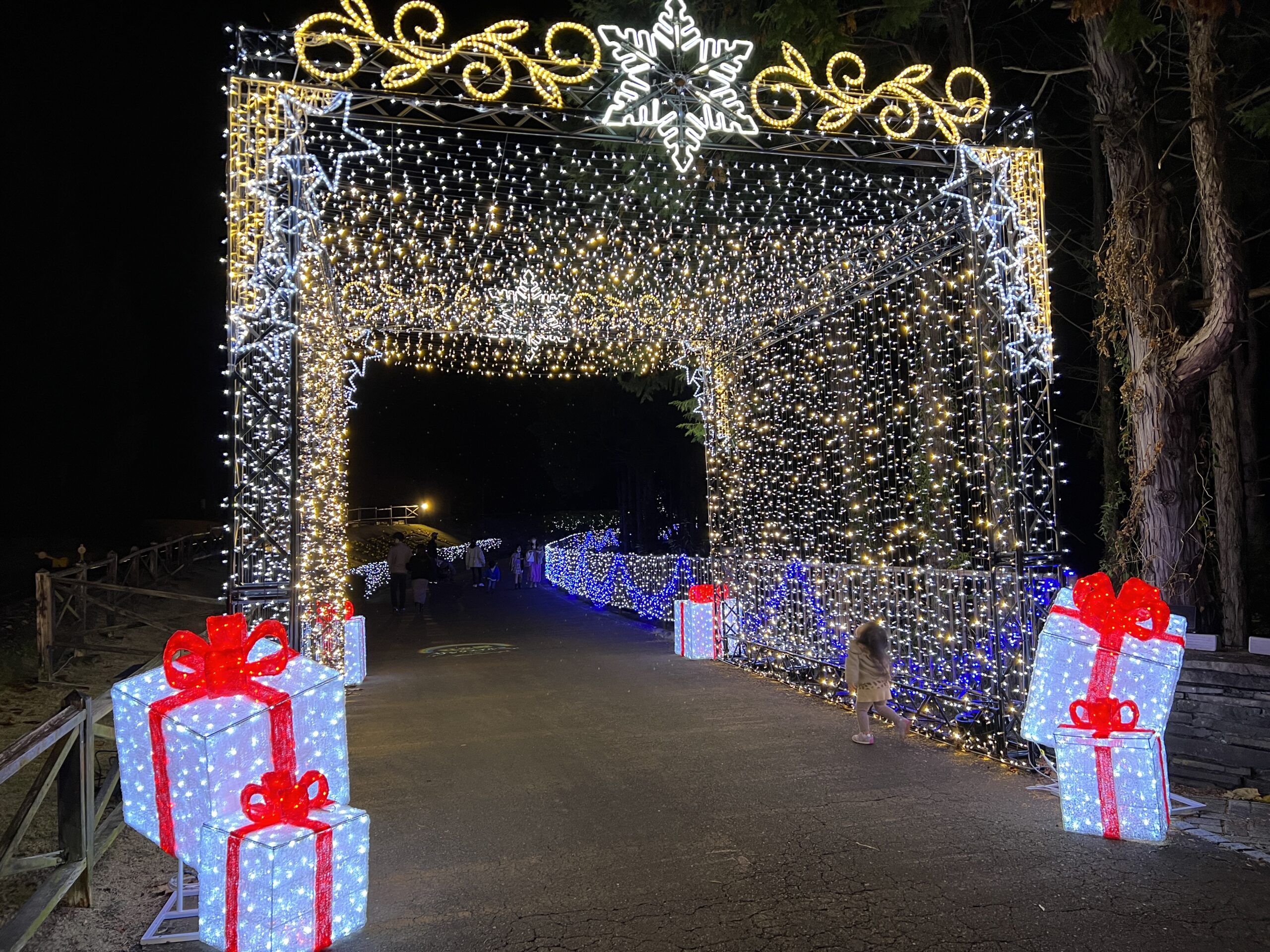 修善寺虹の郷サンクスイルミ