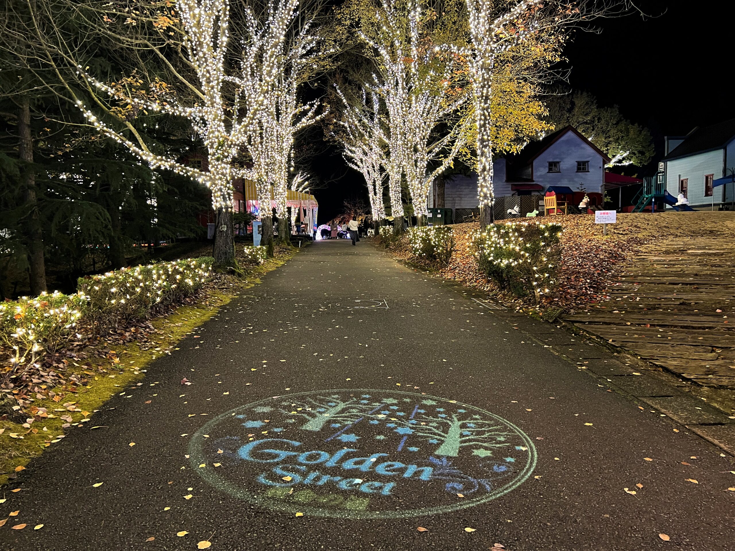修善寺虹の郷サンクスイルミ