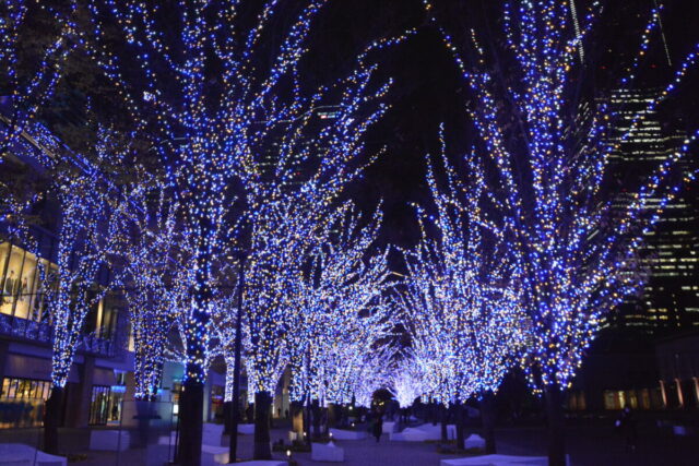 ヨコハマミライト