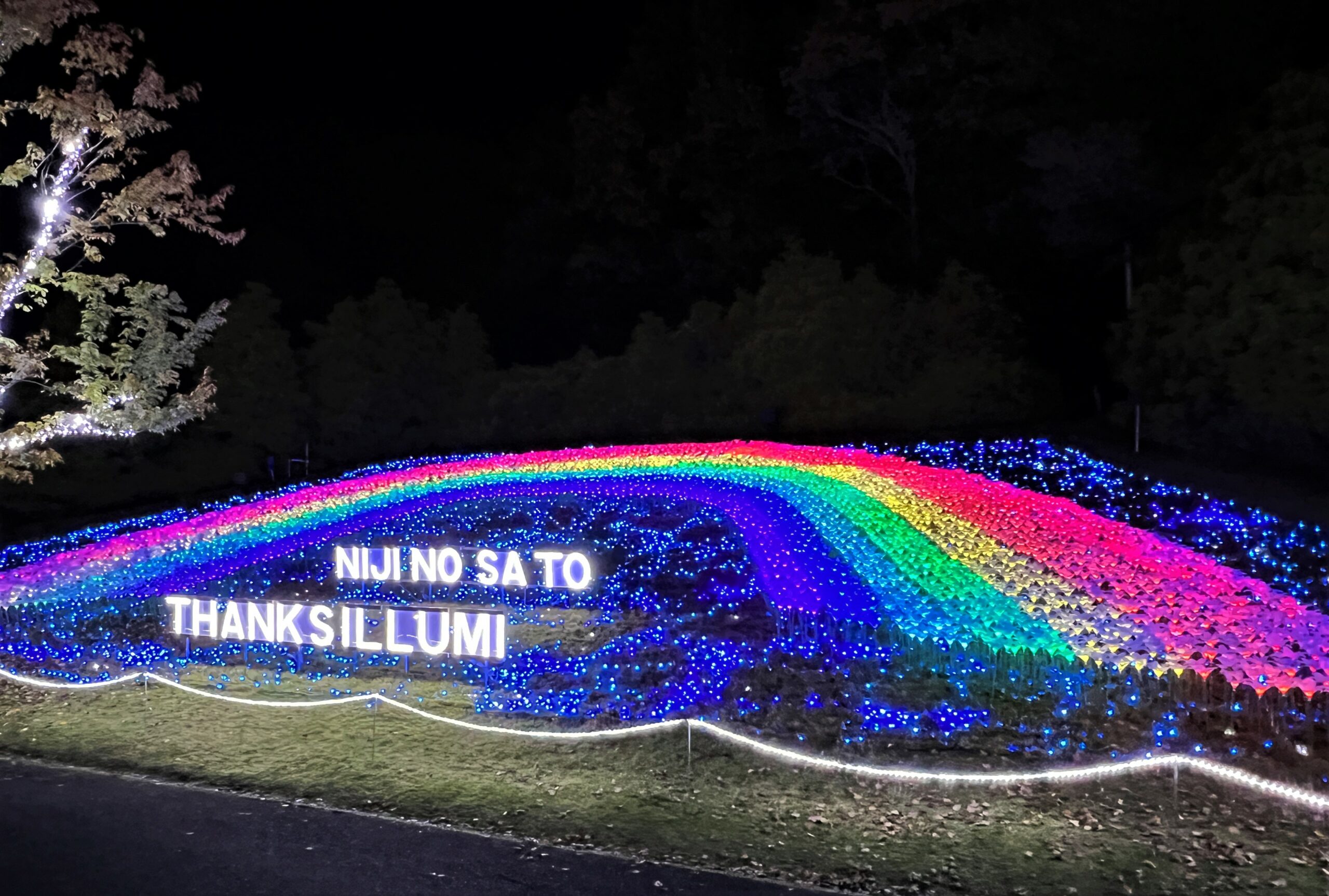 修善寺虹の郷サンクスイルミ
