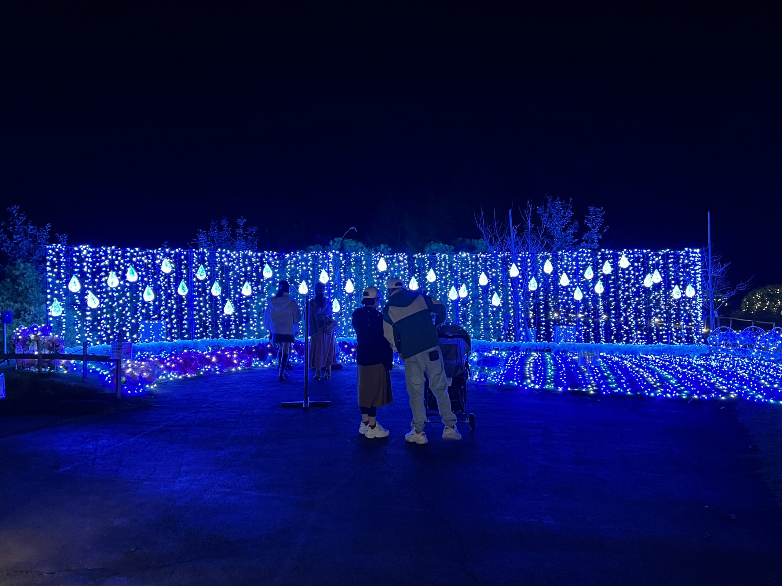 修善寺虹の郷サンクスイルミ