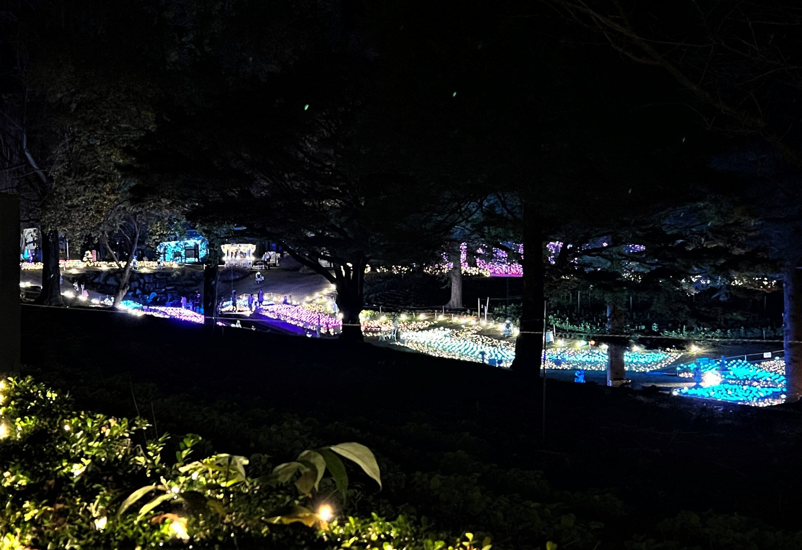 修善寺虹の郷サンクスイルミ