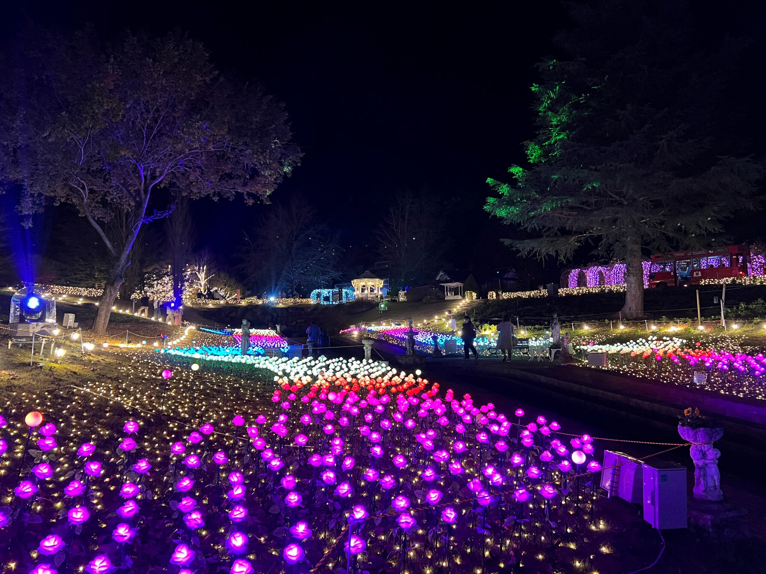 修善寺虹の郷サンクスイルミ