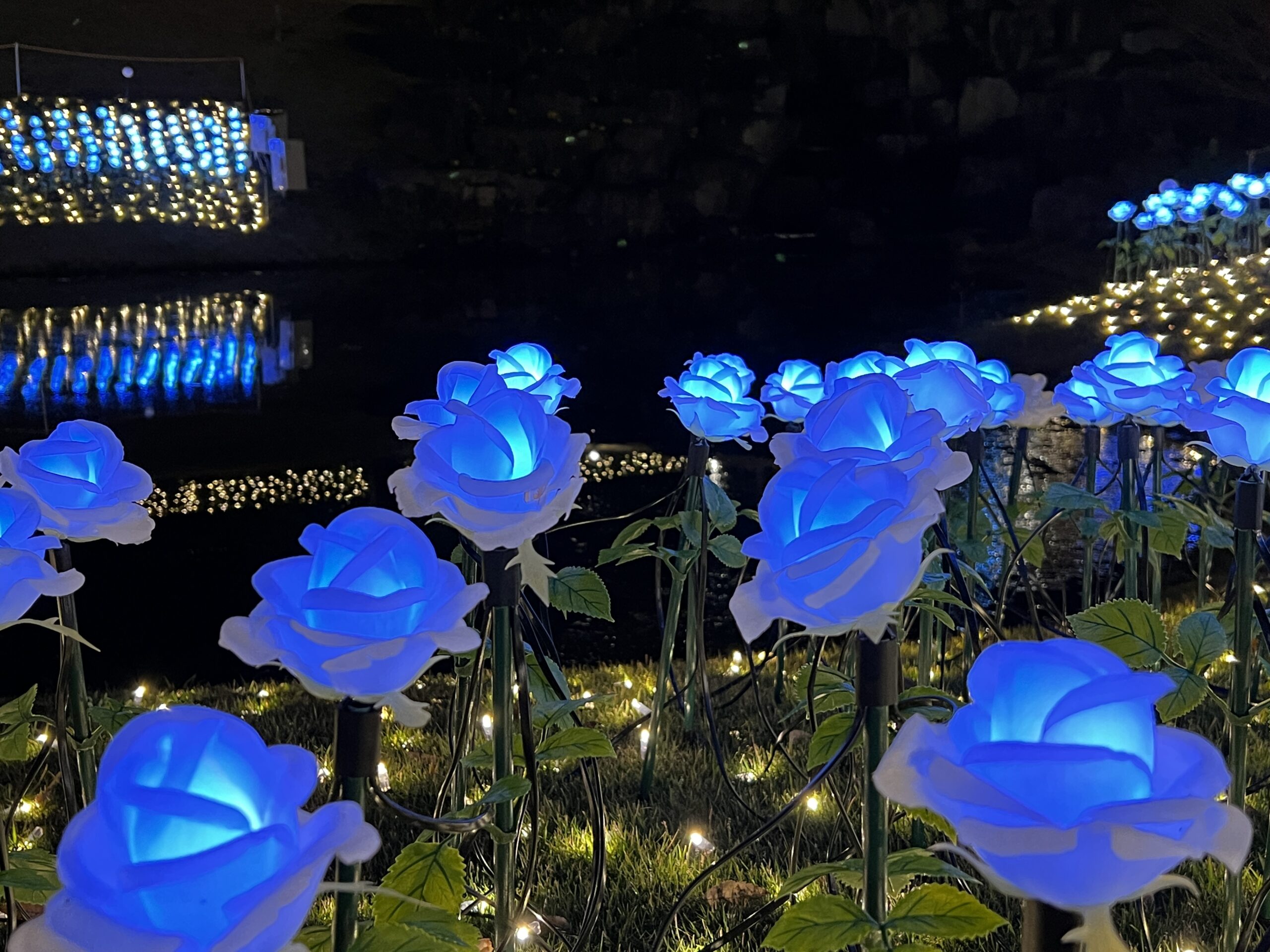 修善寺虹の郷サンクスイルミ