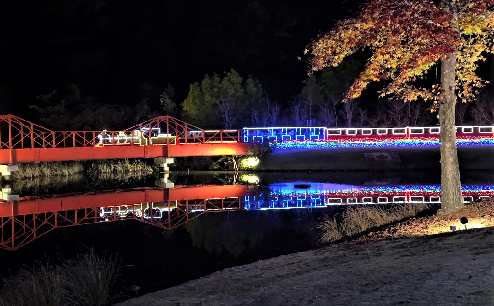 修善寺虹の郷サンクスイルミ