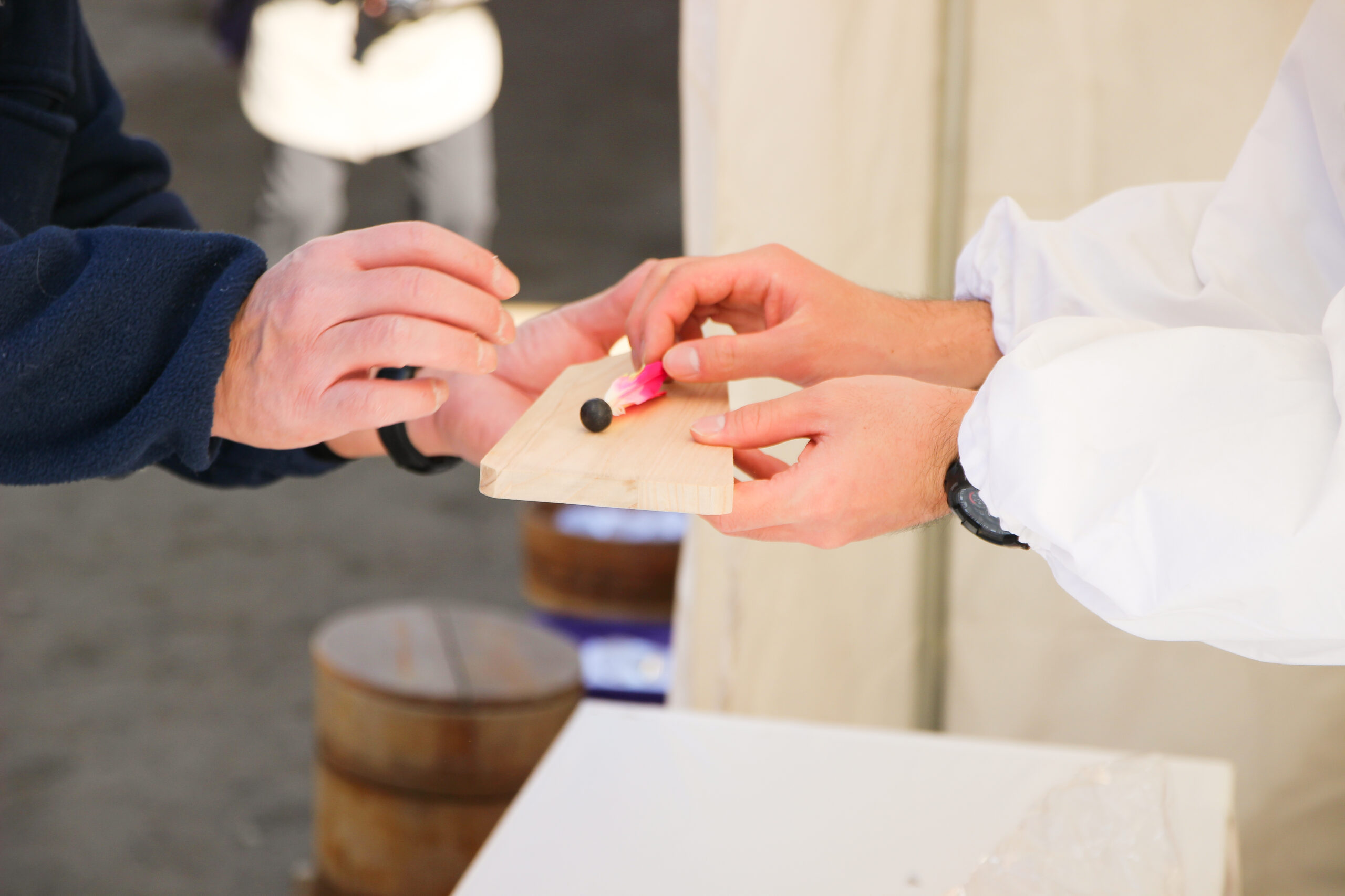 水戸八幡宮はねつき