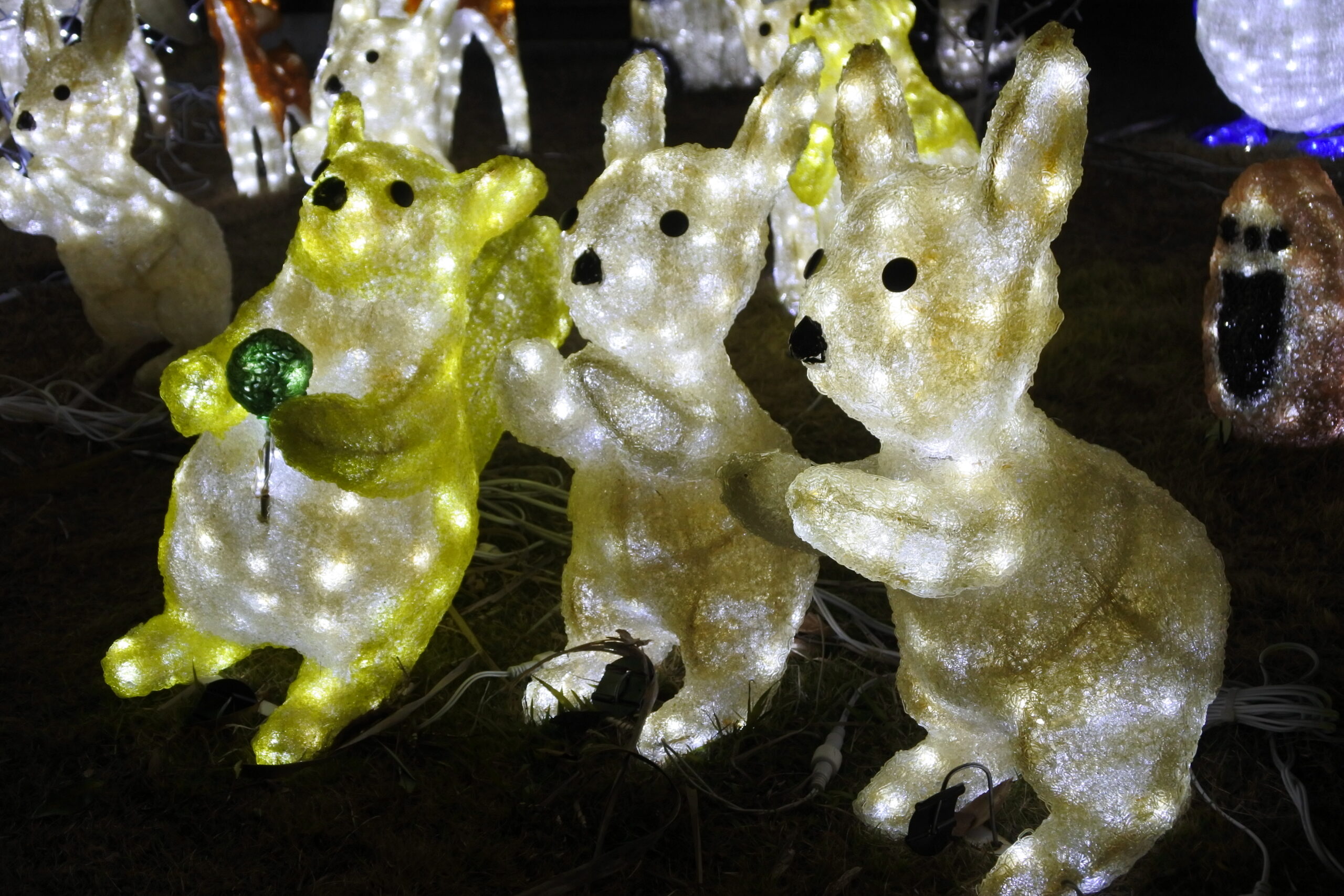 はままつフルーツパーク時之栖