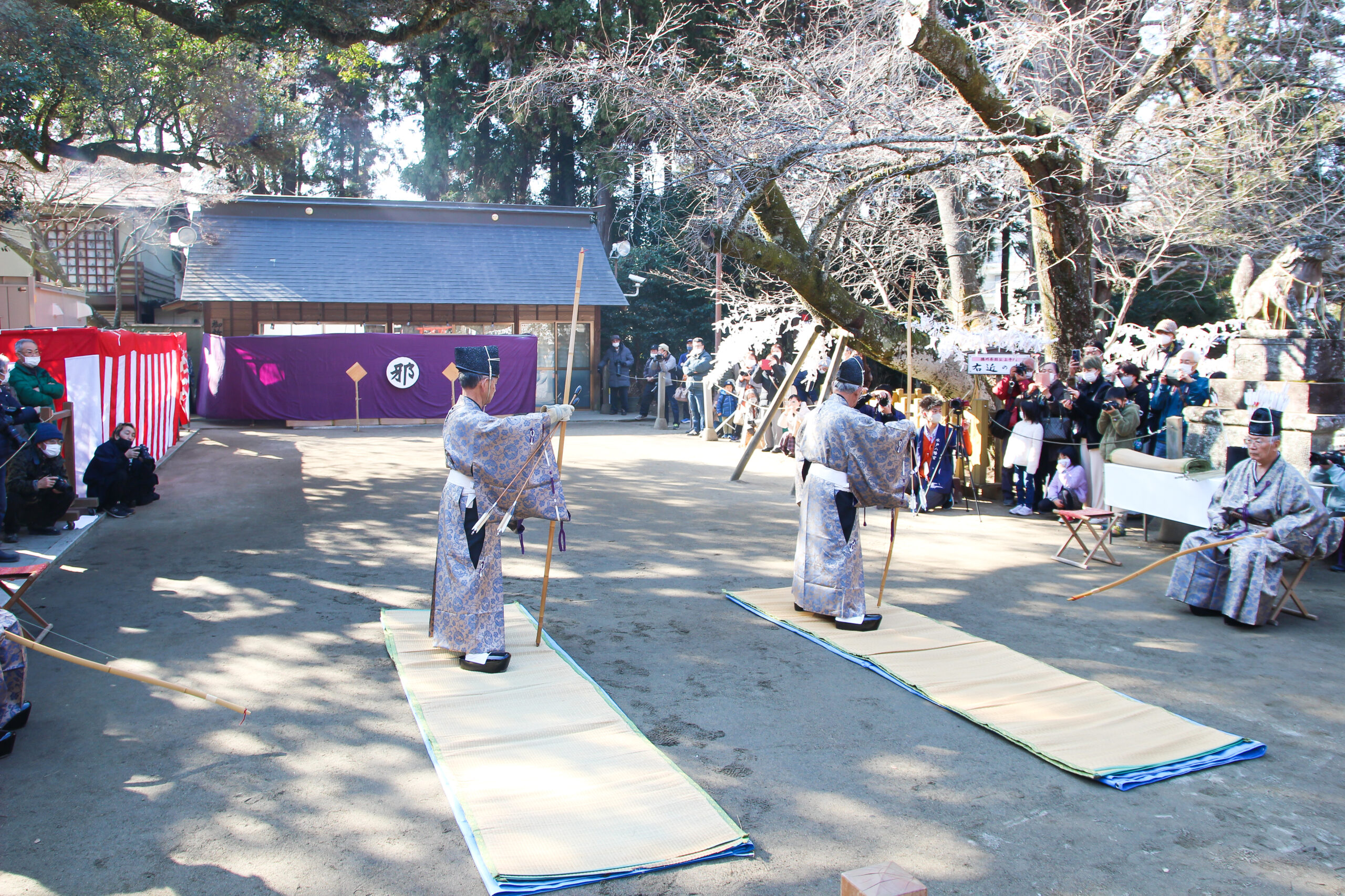 水戸八幡宮はねつき