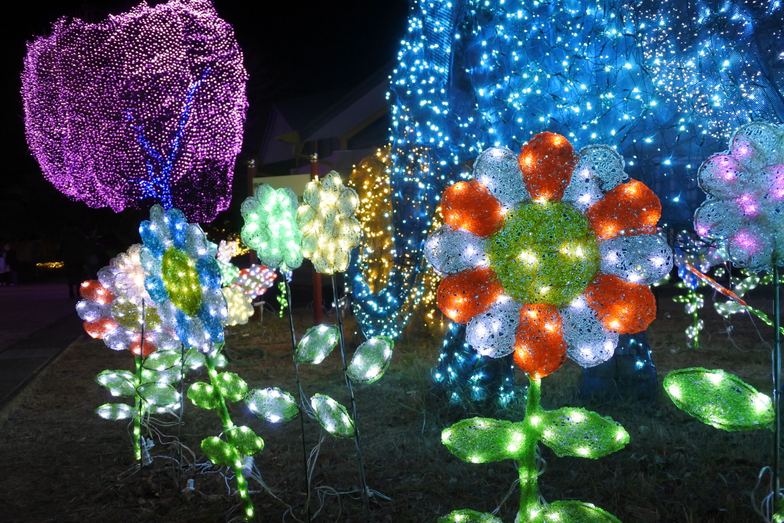 はままつフルーツパーク時之栖