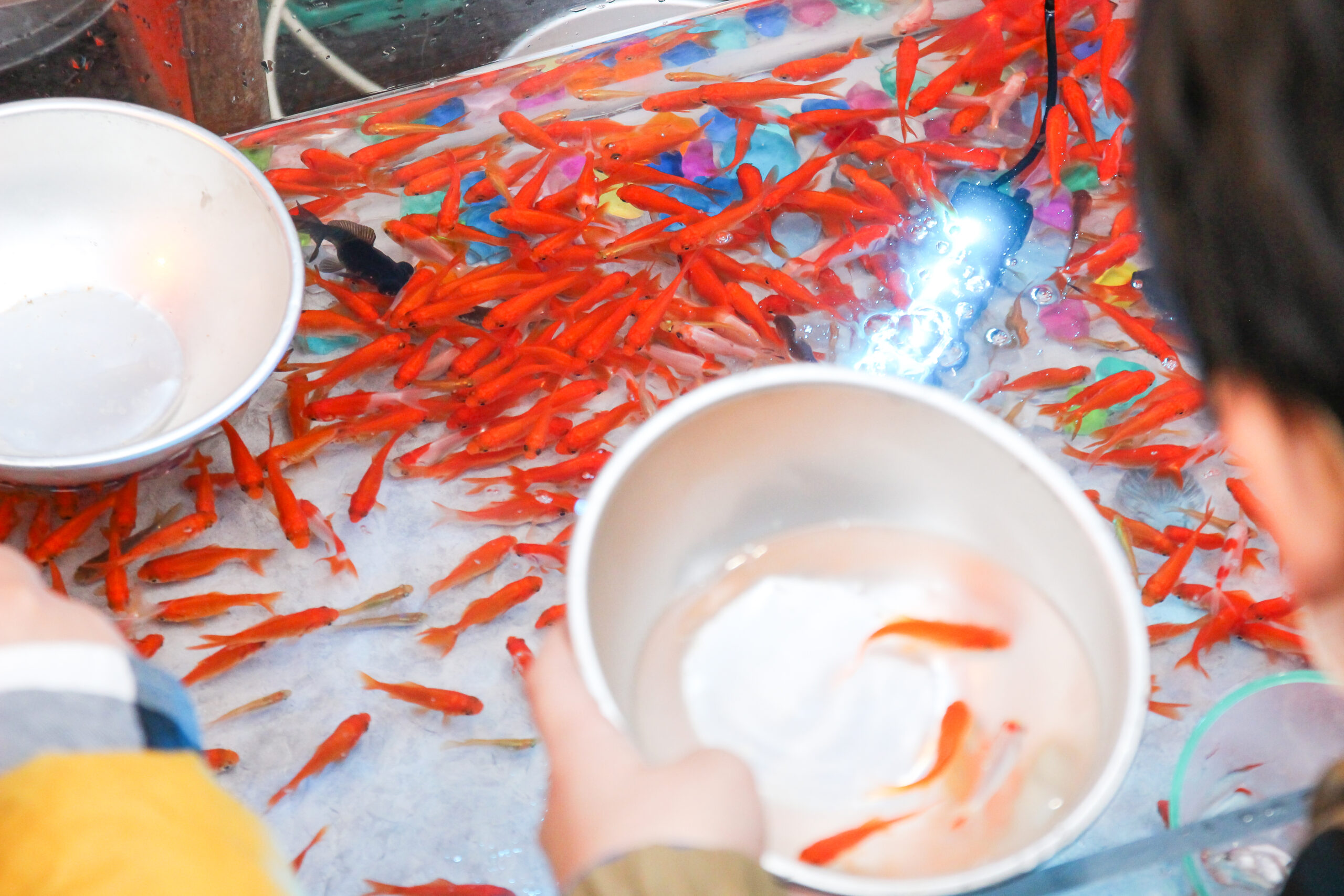 勝専寺閻魔開き