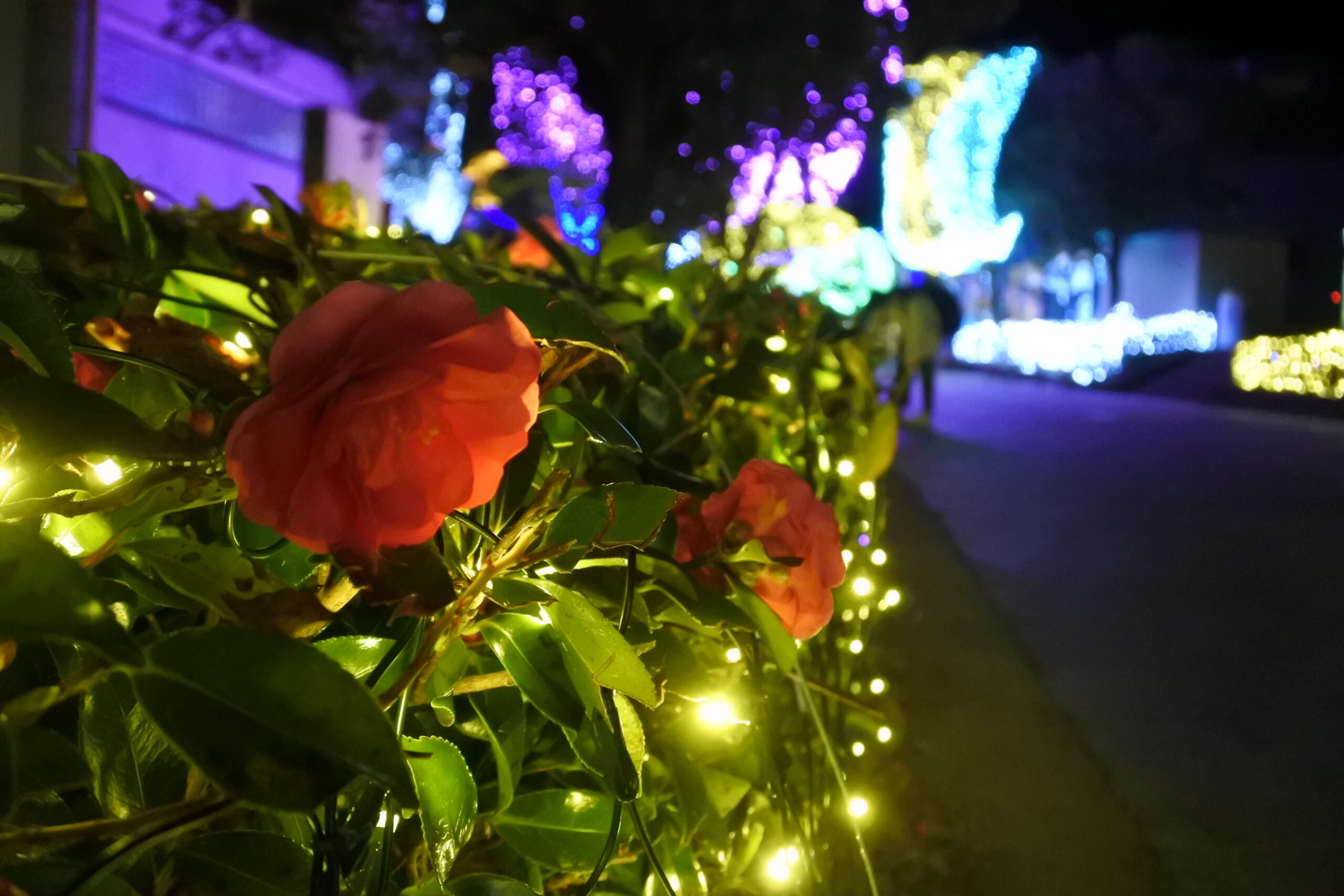 はままつフルーツパーク時之栖