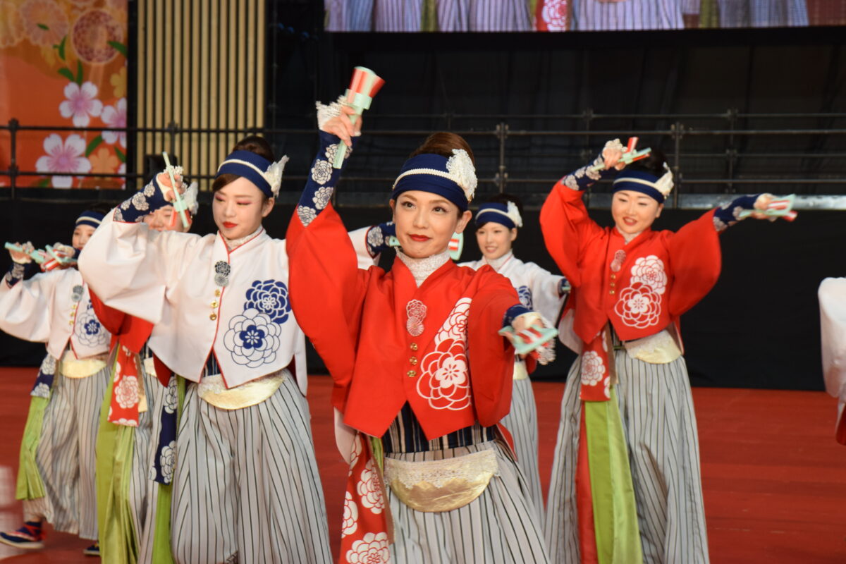 ふるさと祭り東京2023に「高知よさこい祭り」が登場！ほにやの圧巻の