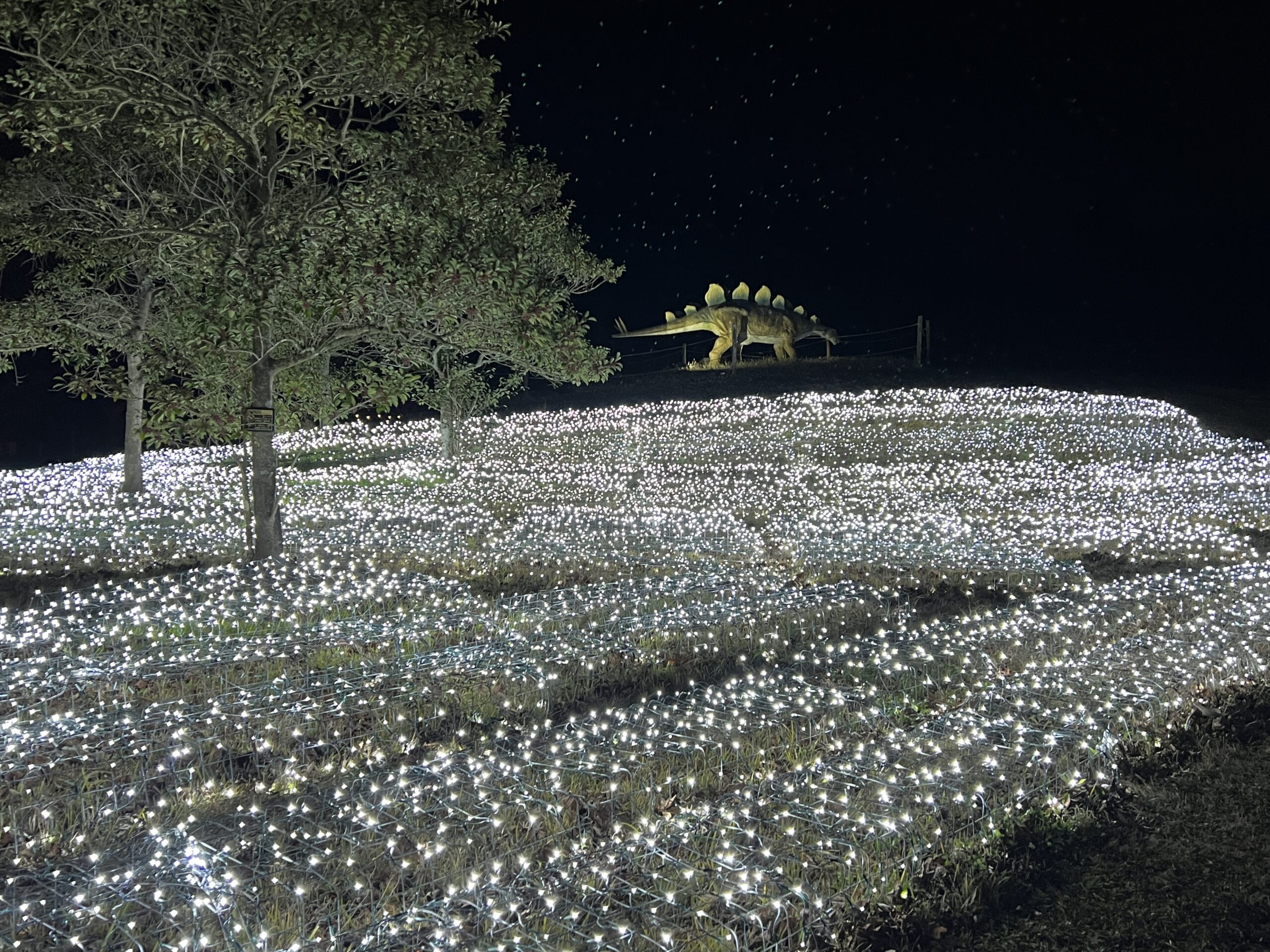 はままつフルーツパーク時之栖