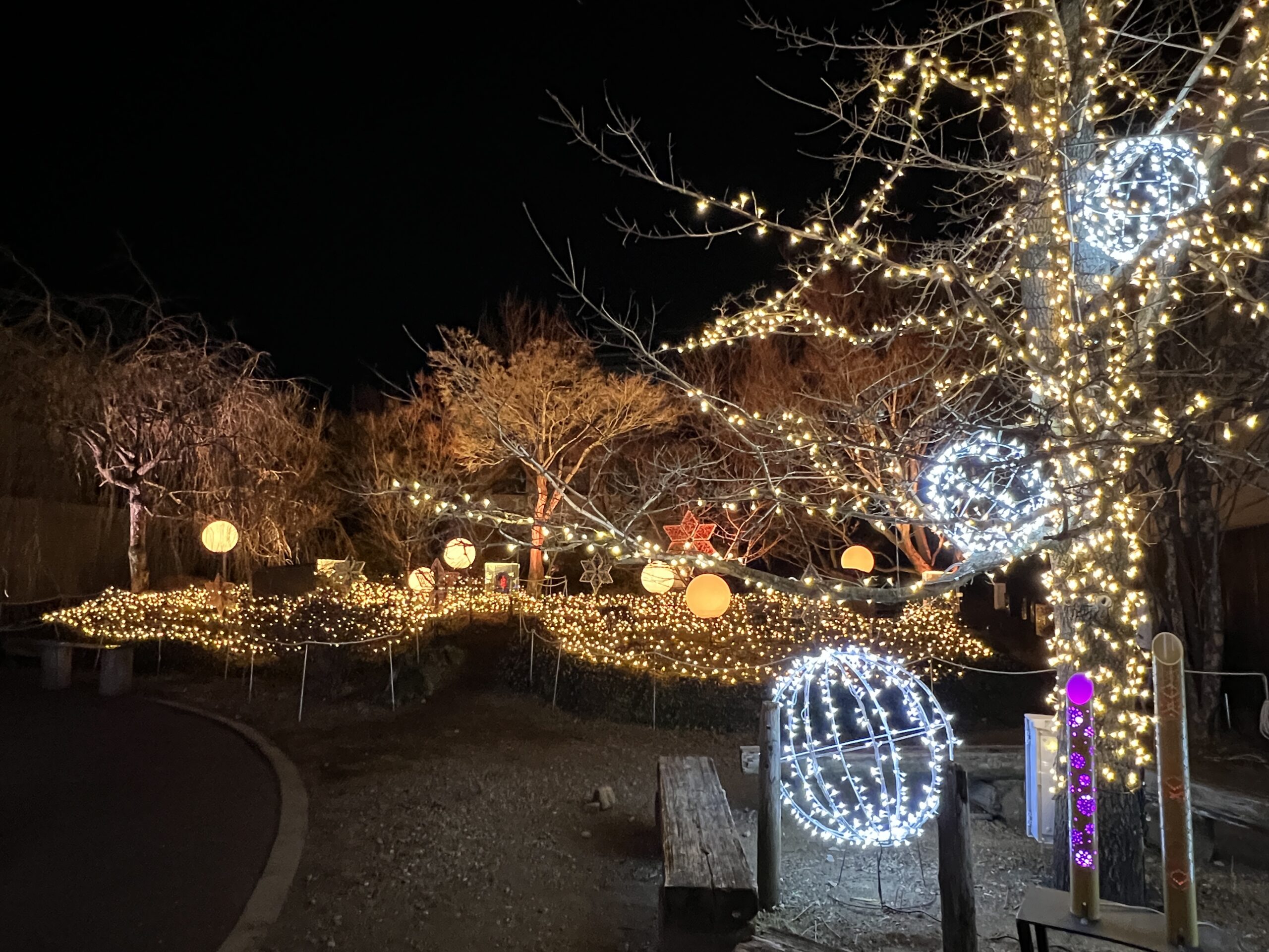 NAKED夜さんぽ秩父