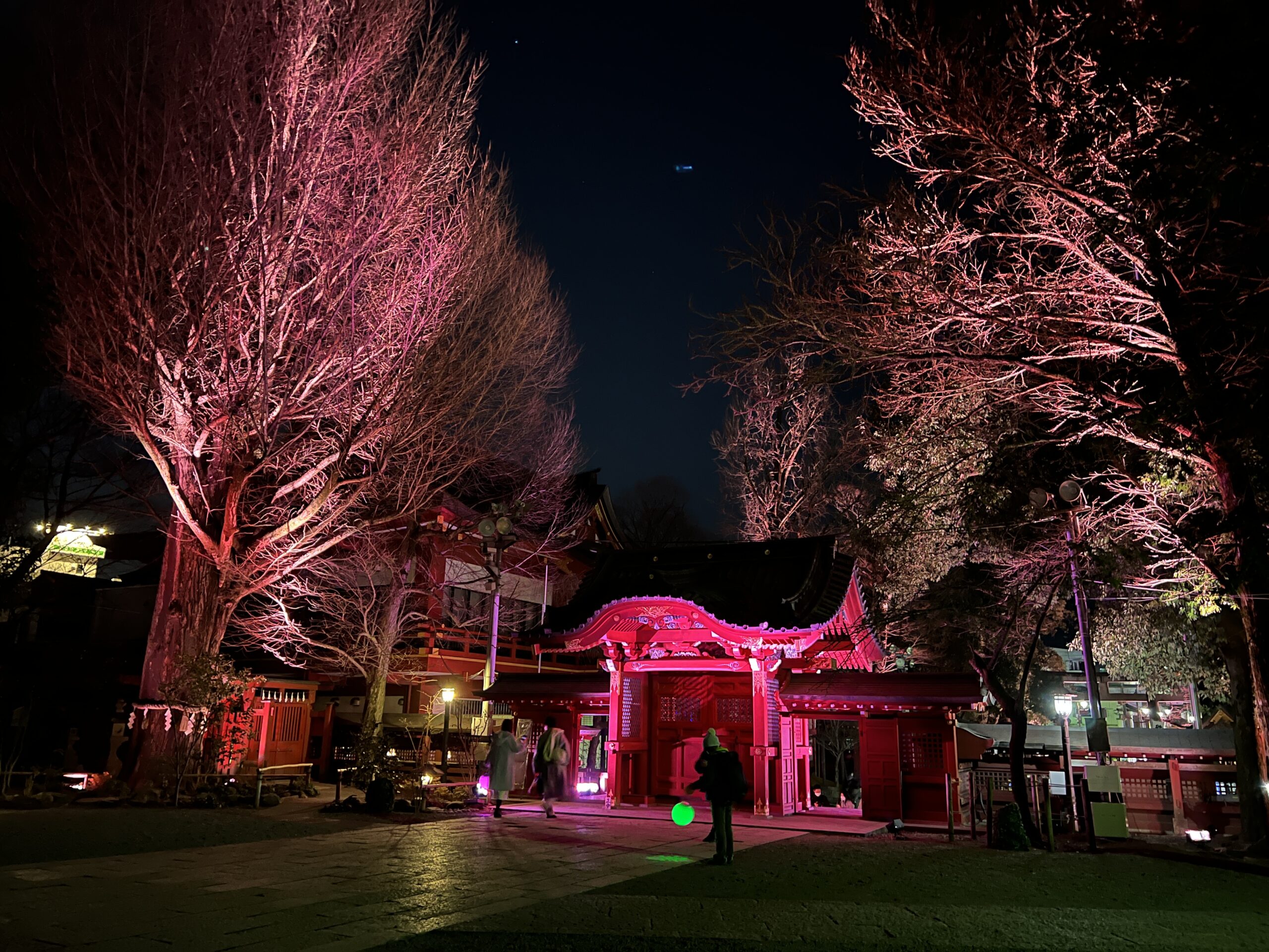 NAKED夜さんぽ秩父