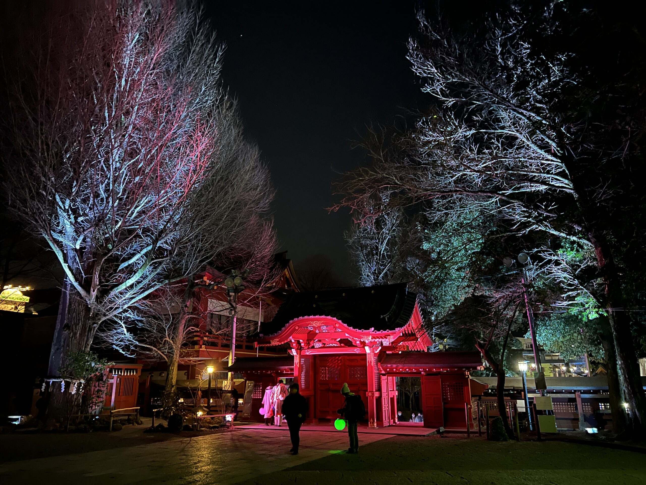 NAKED夜さんぽ秩父