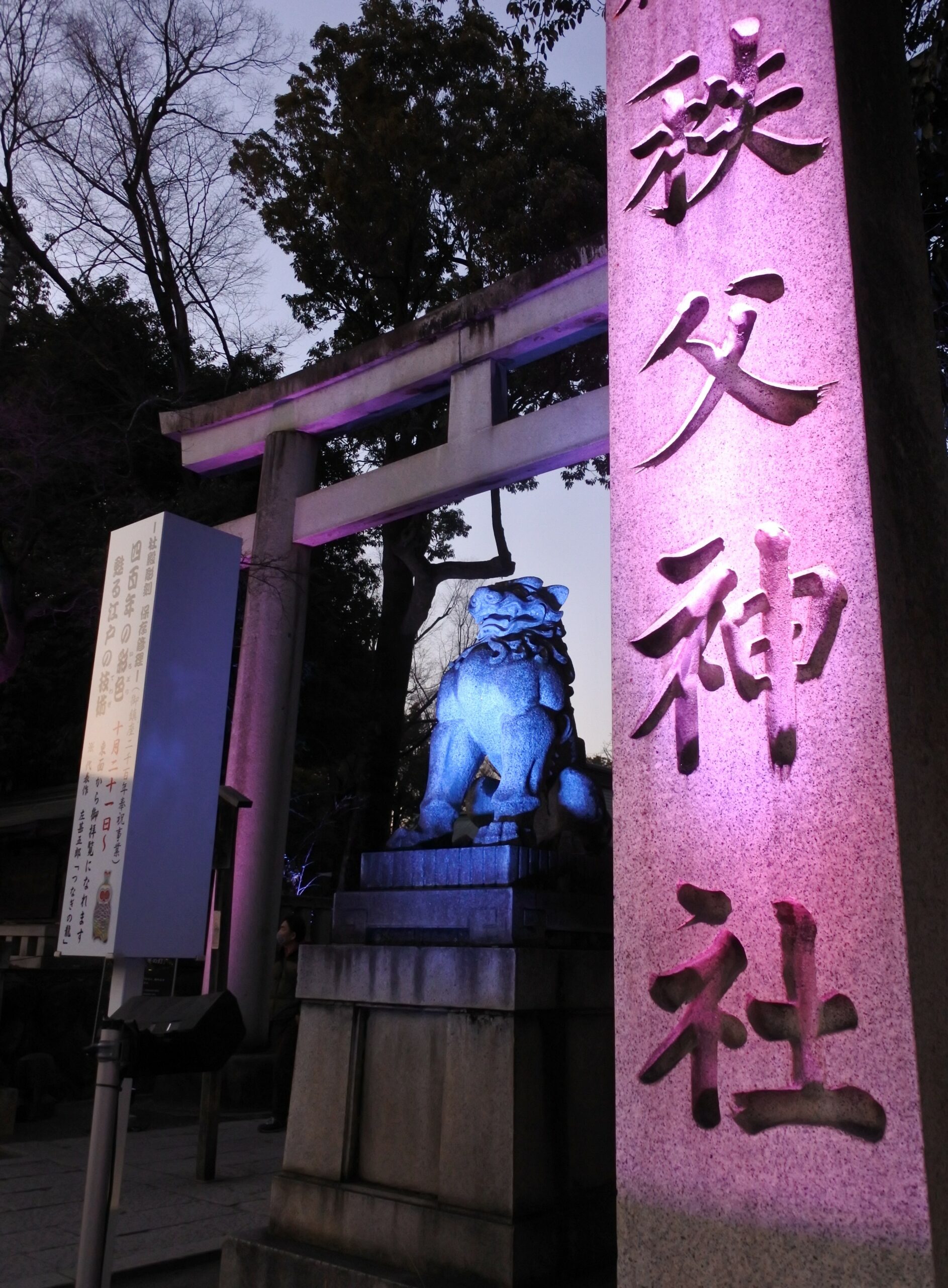 NAKED夜さんぽ秩父