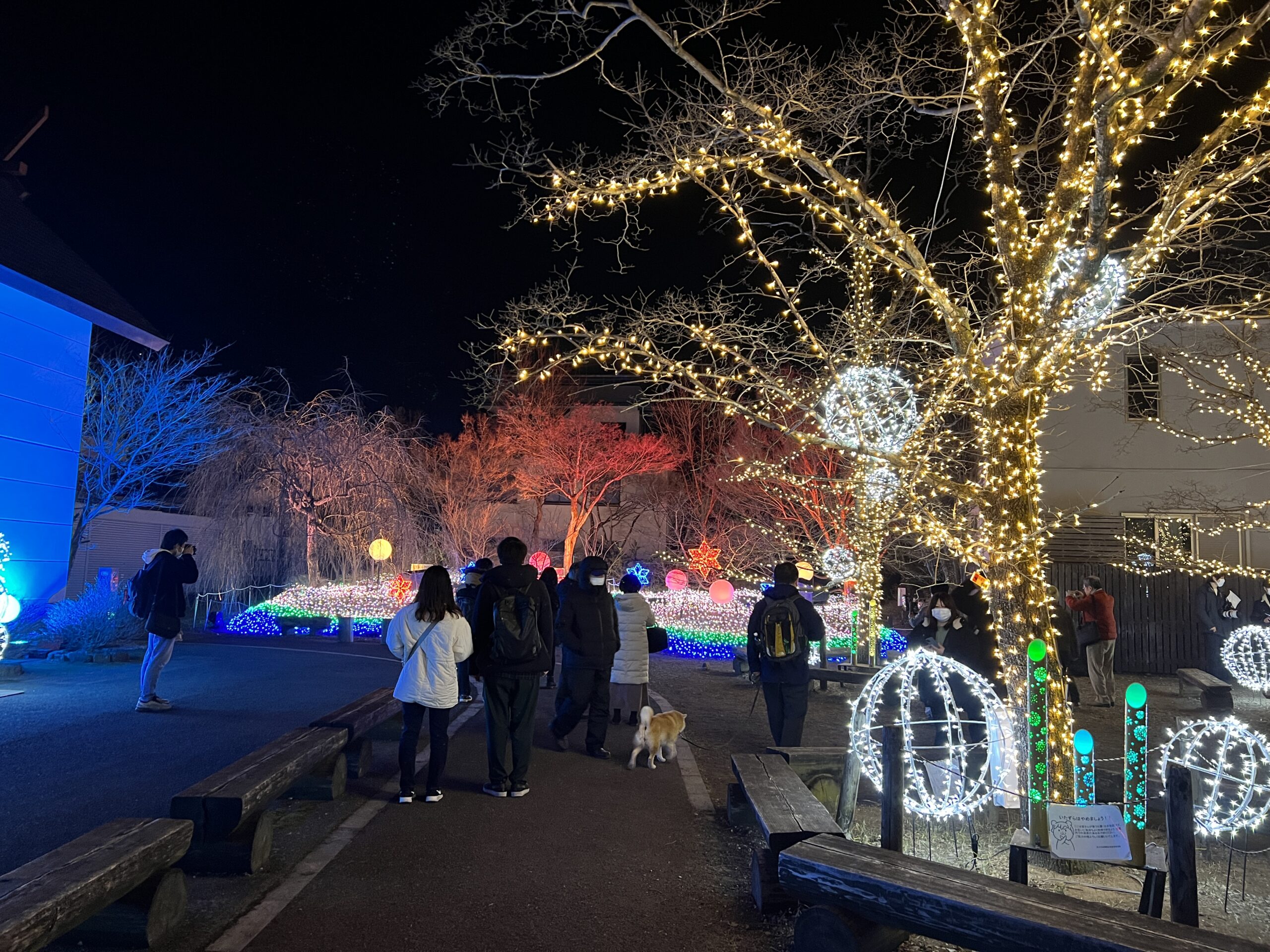 NAKED夜さんぽ秩父