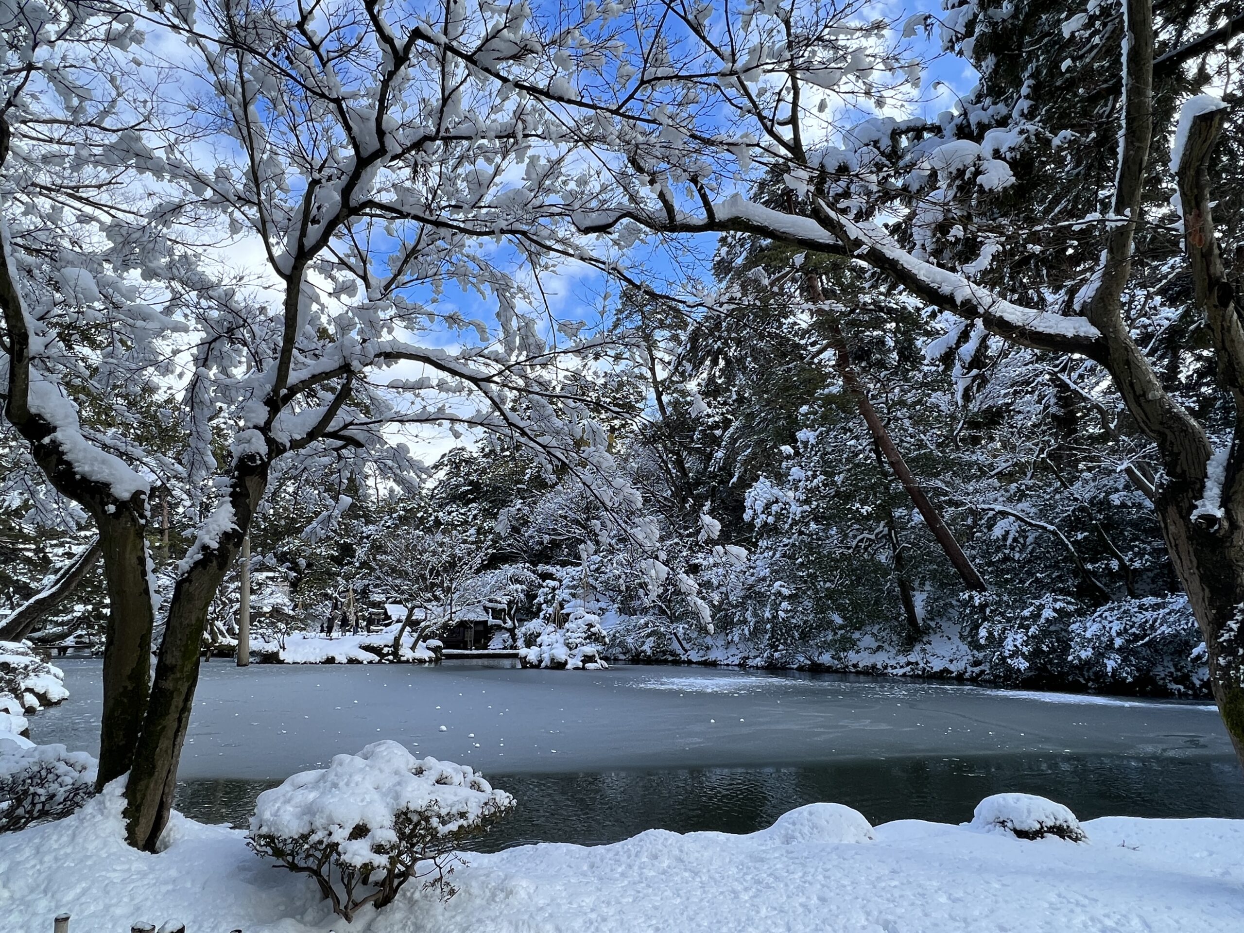 雪の兼六園 トップ 普通の靴で歩ける