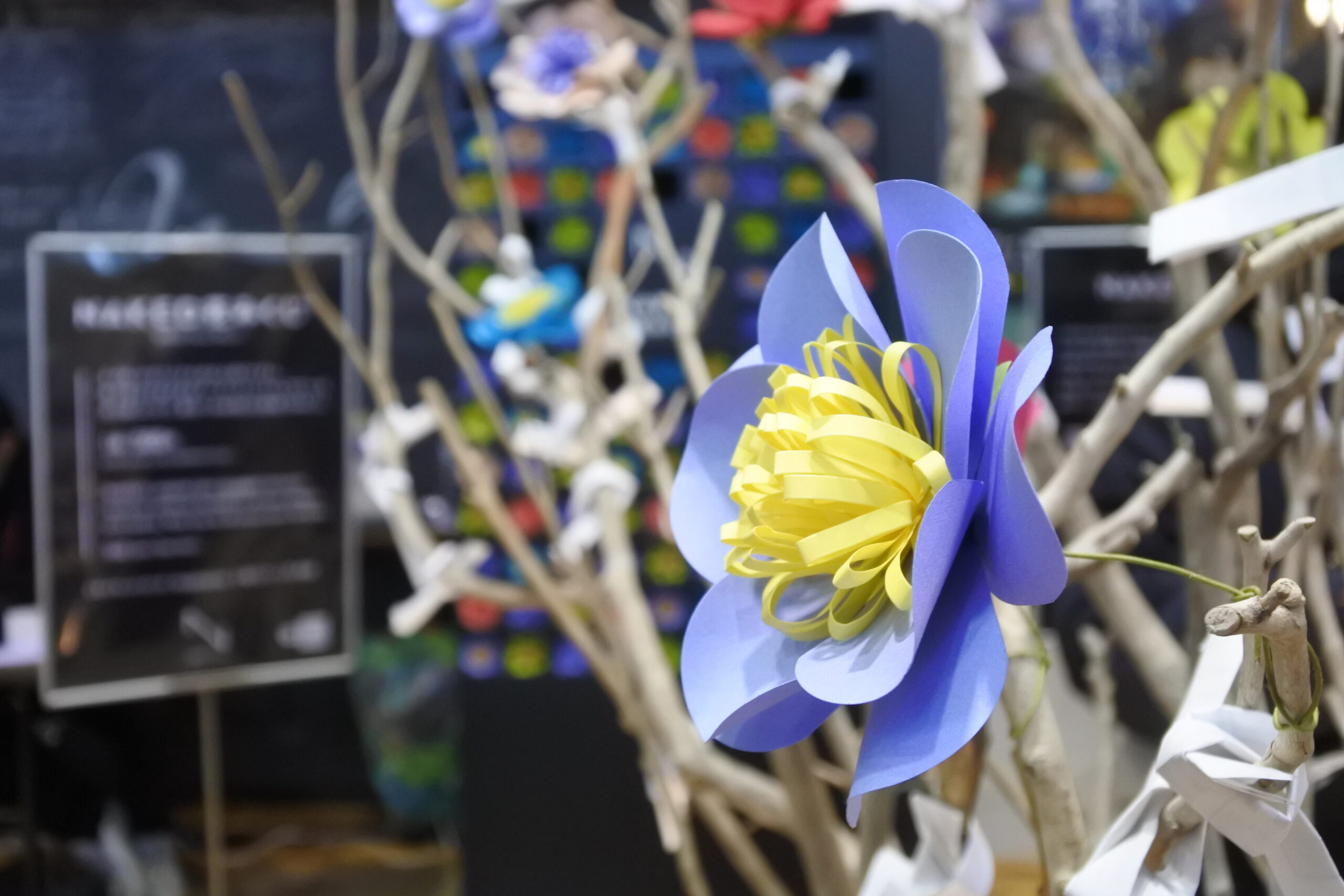 NAKED夜さんぽ秩父