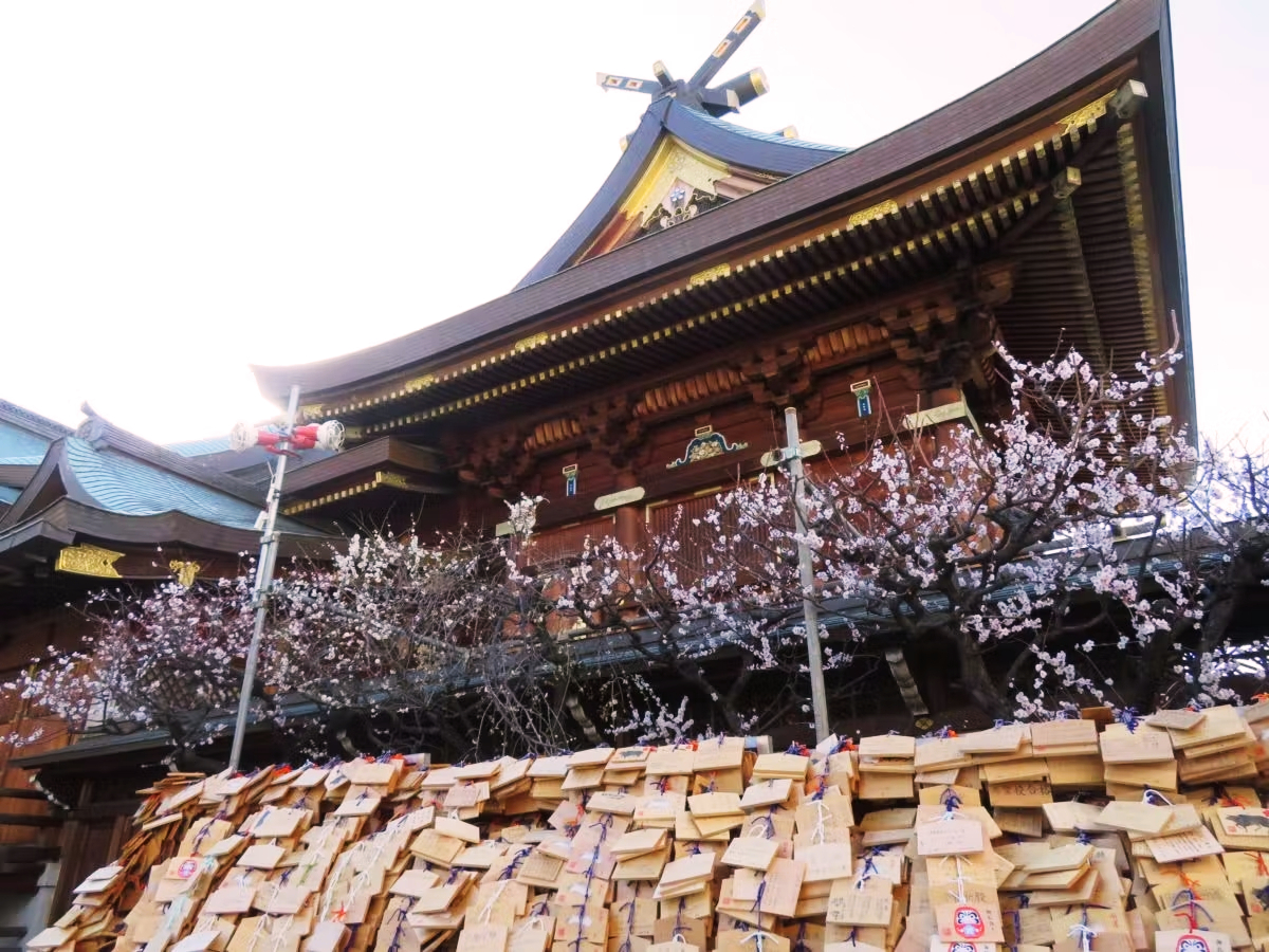 梅の花が見られて限定御朱印ももらえる！全国の神社＆美しい梅御朱印5