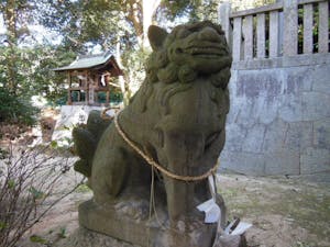 日本遺産「尾道水道が紡いだ中世からの箱庭的都市」を作った尾道石工の十八番“狛犬”に注目！