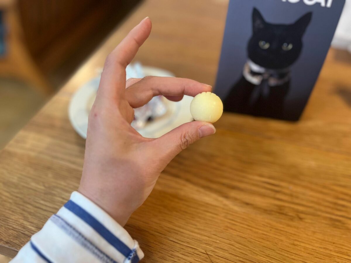 CACAOCAT　ホワイトチョコ