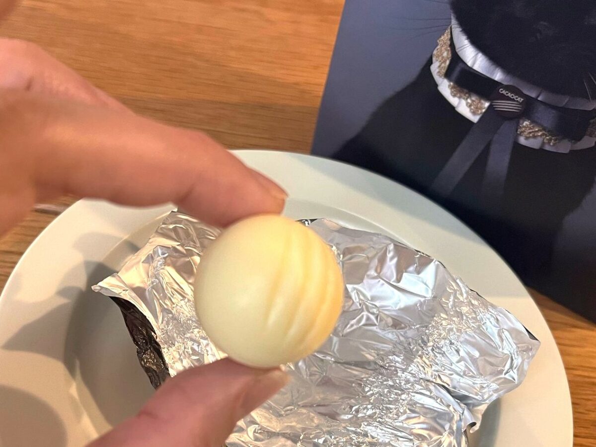 CACAOCAT 猫の爪あと