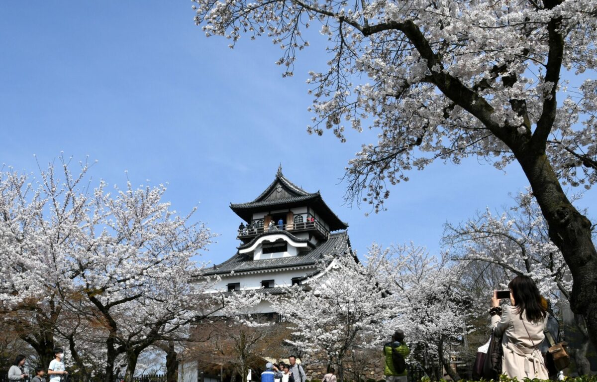 つまり「桜×城」が最高ってコト！？2023年版今年行くべき花見の名城10選