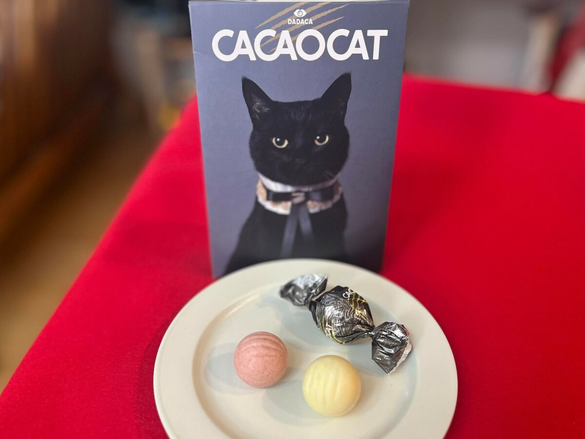 CACAOCAT