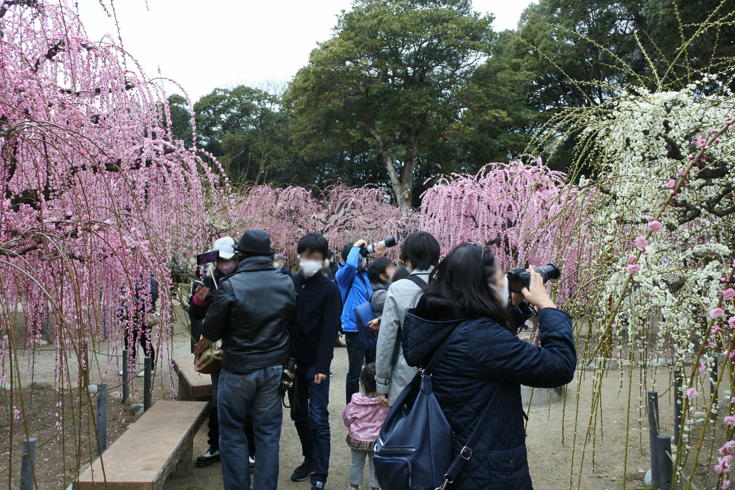 結城神社