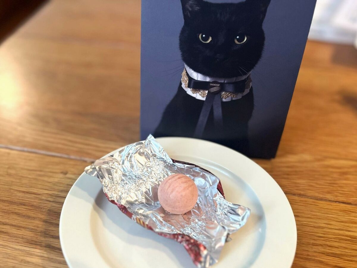 CACAOCAT ストロベリーチョコ