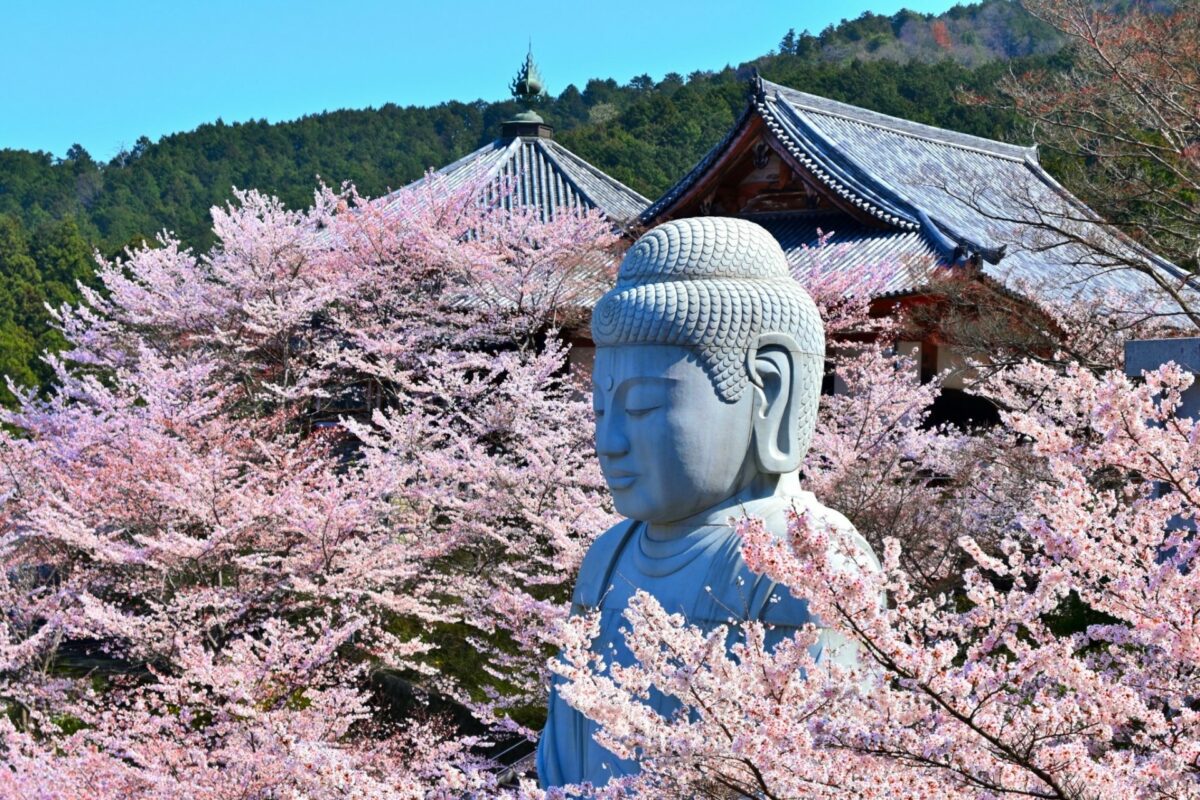 お花見ができて桜の御朱印ももらえる！全国の寺社＆美しい桜御朱印5選！