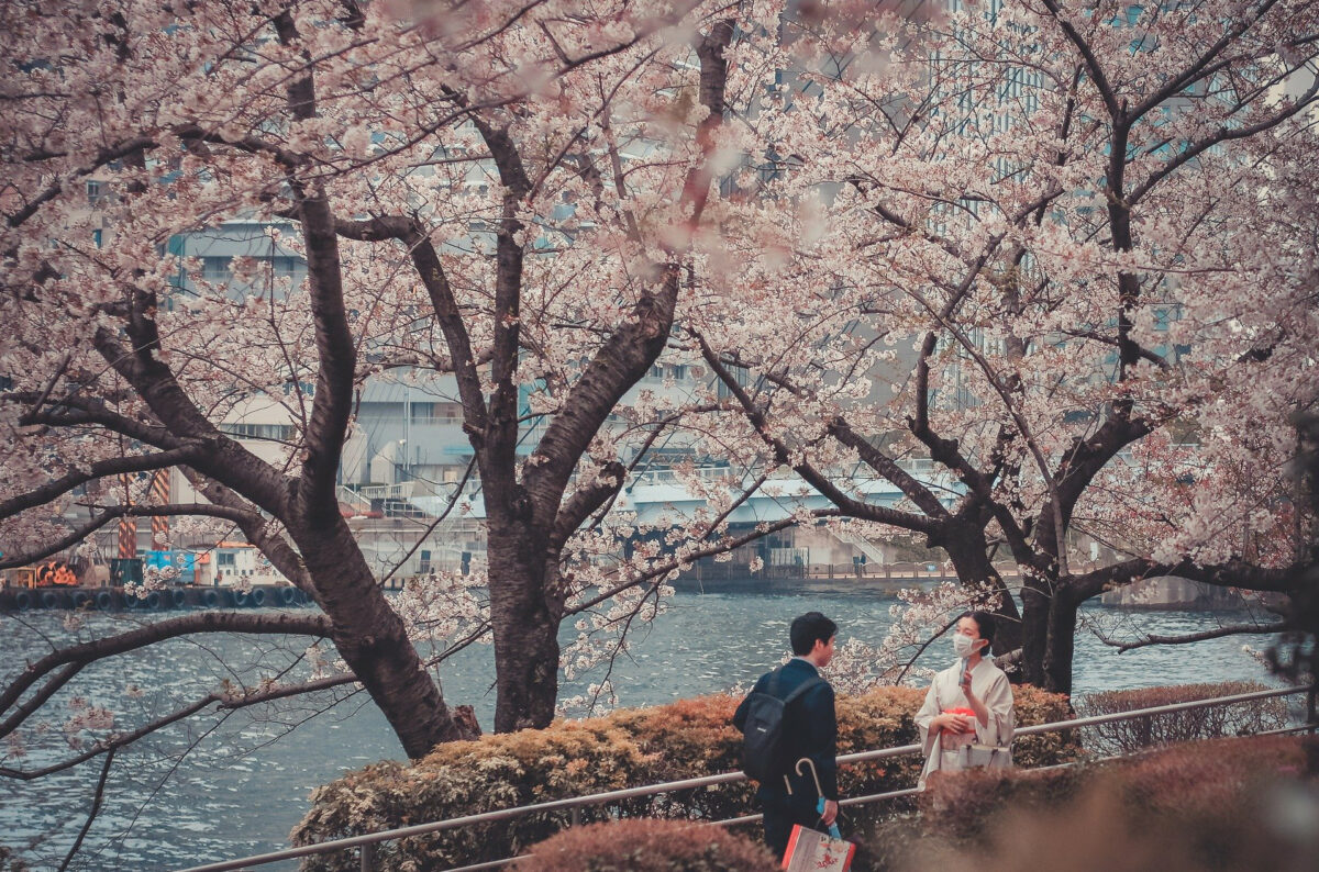 3月14日サクラ開花宣言で総復習！2023年版東京人が行くべき都内の花見スポット10選！