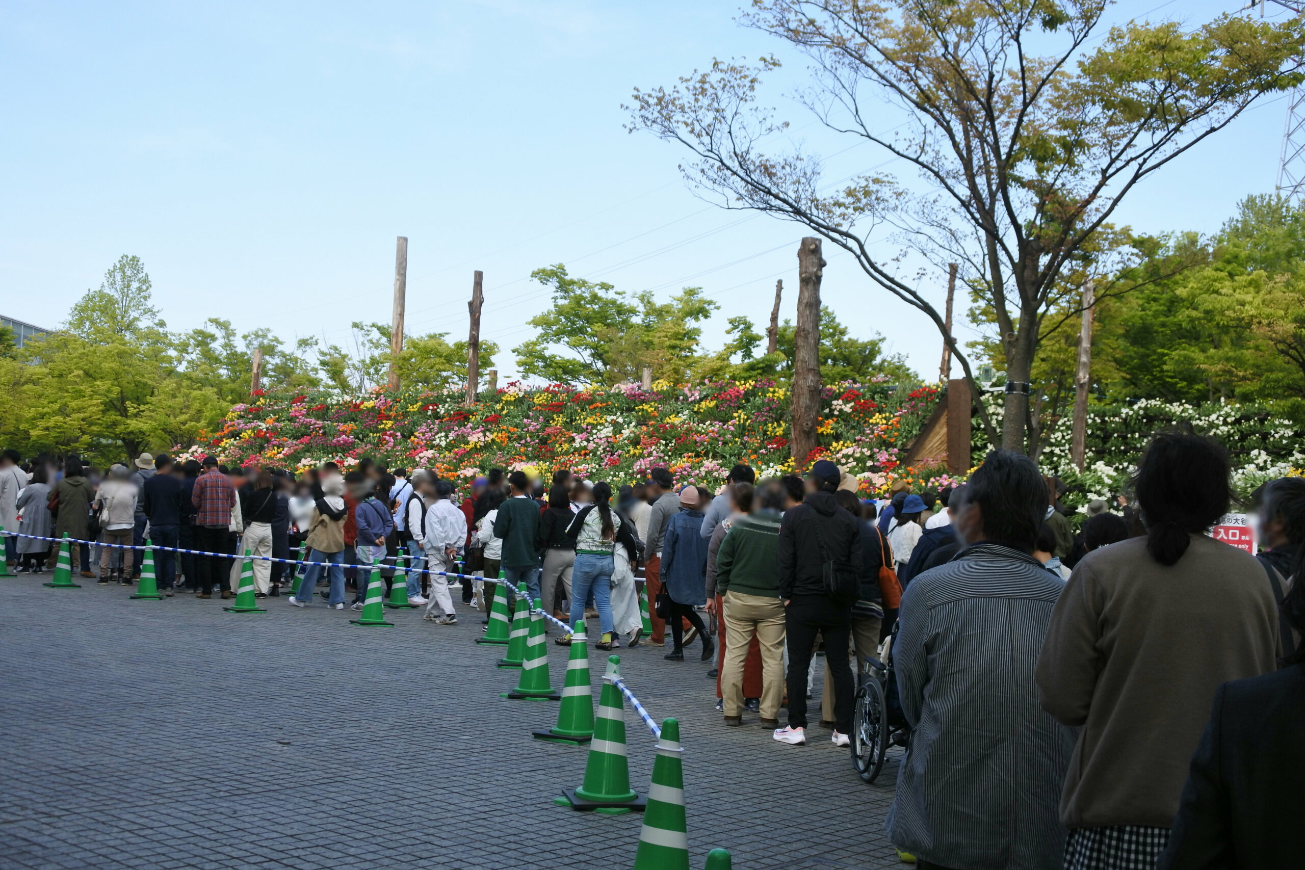 となみチューリップフェア