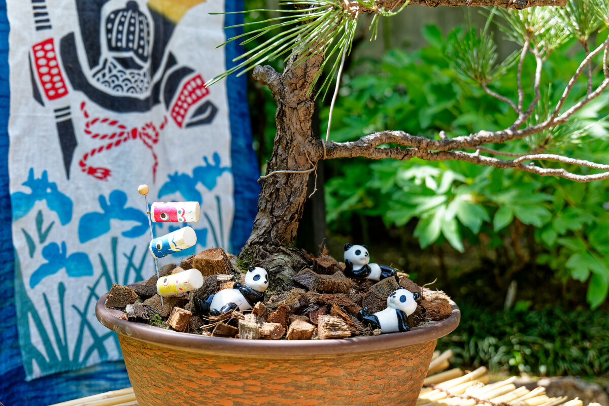 上野東照宮ぼたん苑（春のぼたん祭・2023）