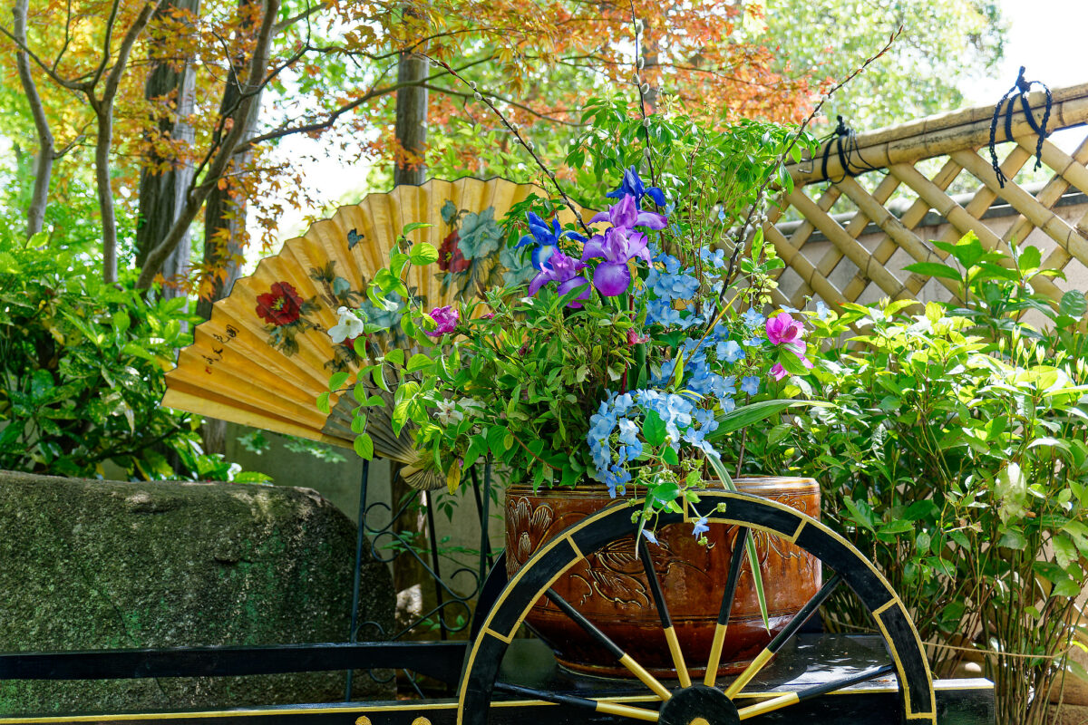 上野東照宮ぼたん苑（春のぼたん祭・2023）