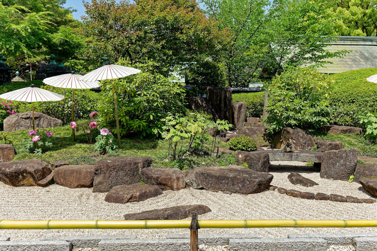 上野東照宮ぼたん苑（春のぼたん祭・2023）