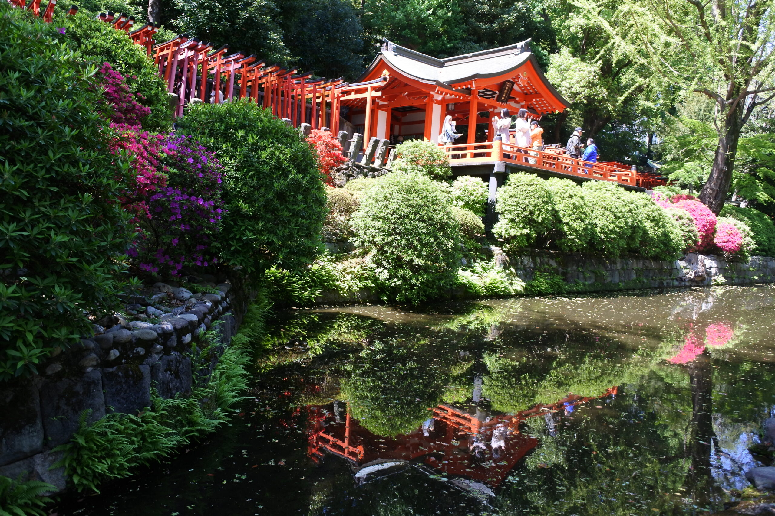 乙女稲荷神社前の池。