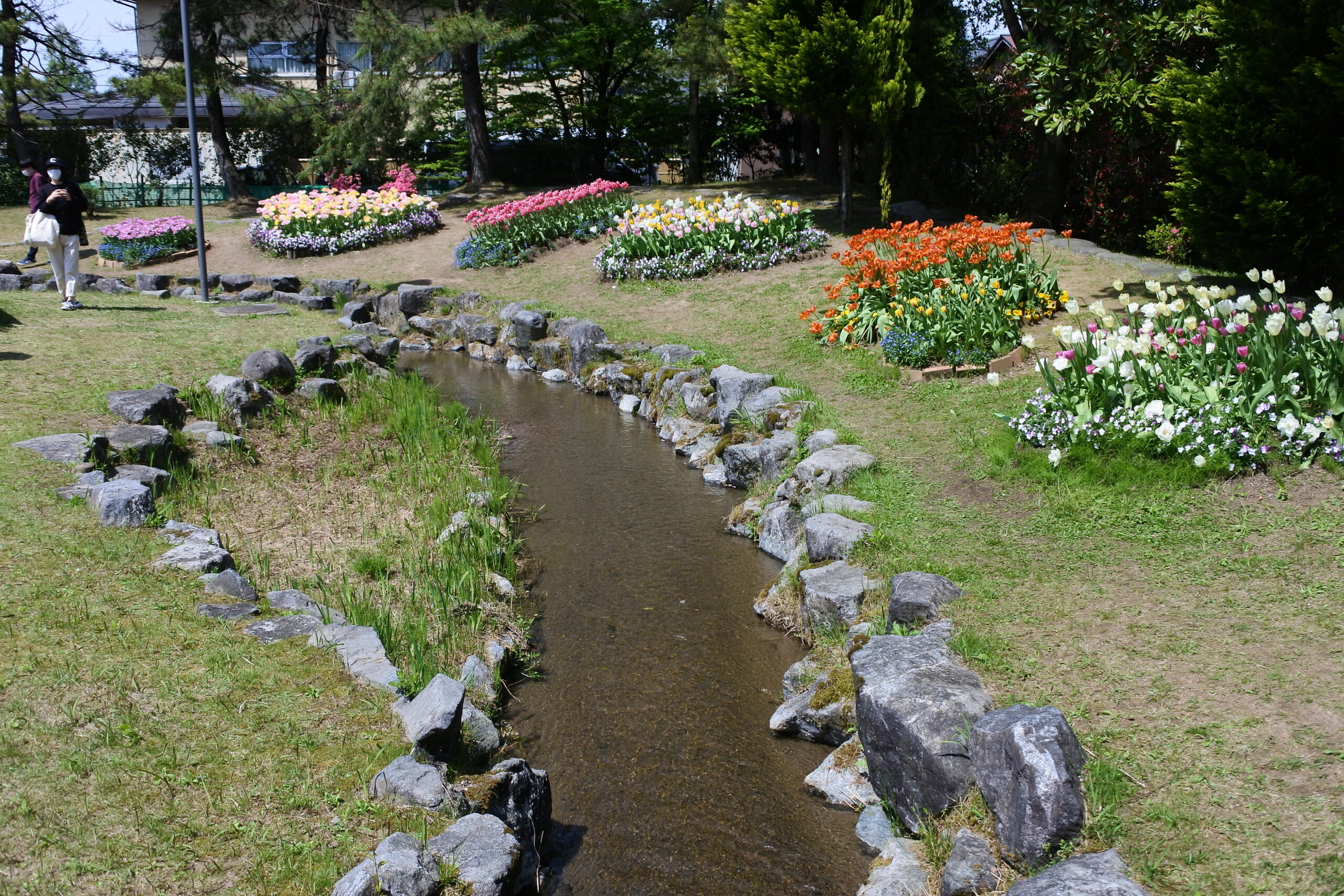 となみチューリップフェア