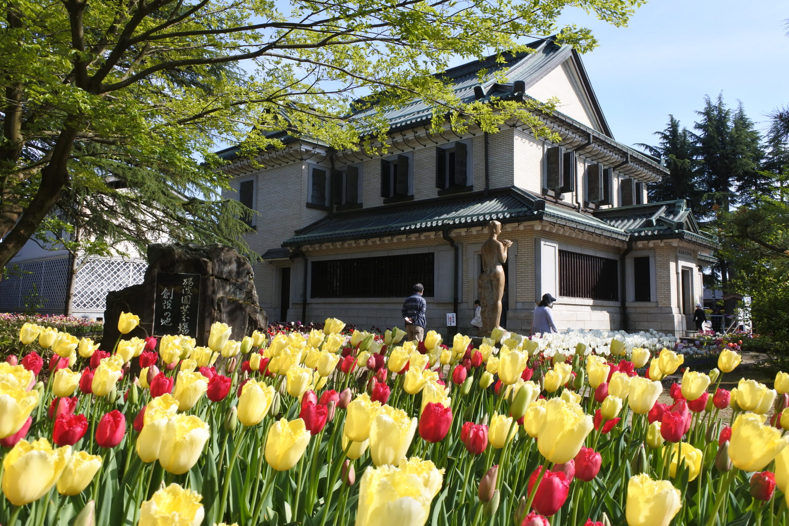 となみチューリップフェア