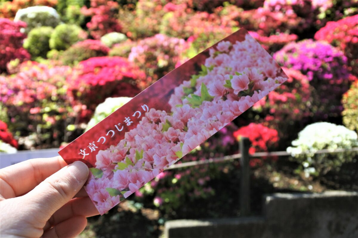 文京つつじまつり入場チケット